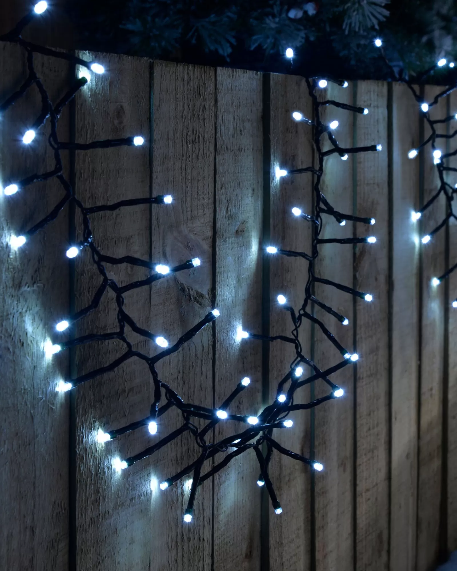 WeRChristmas Cluster Lights | Tree Lights^180 Chasing Cluster Light String, Bright White