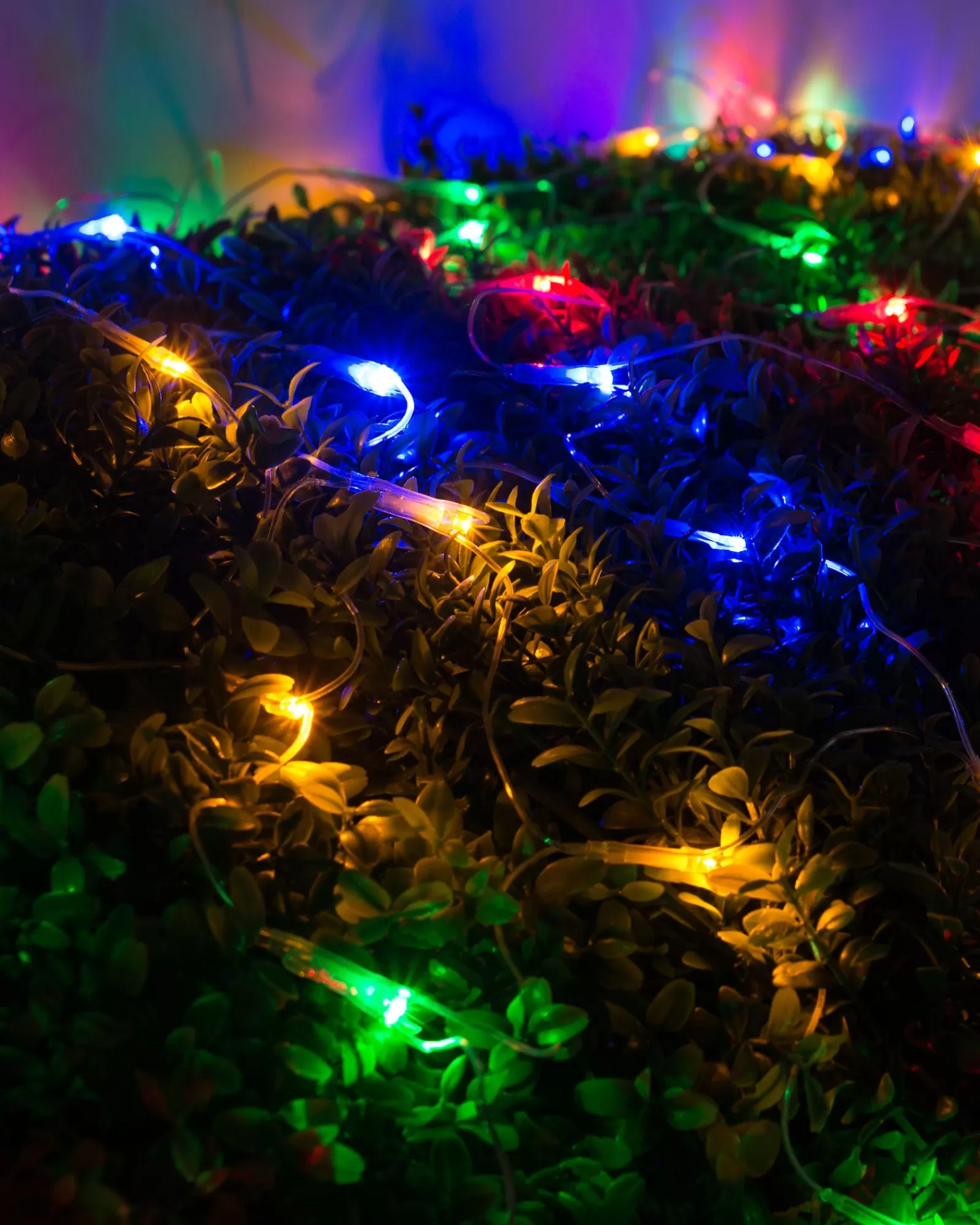 WeRChristmas Curtain & Net Lights | Connectable Lights^180 LED Connectable Net Light, Multi-Coloured, 1.8 M