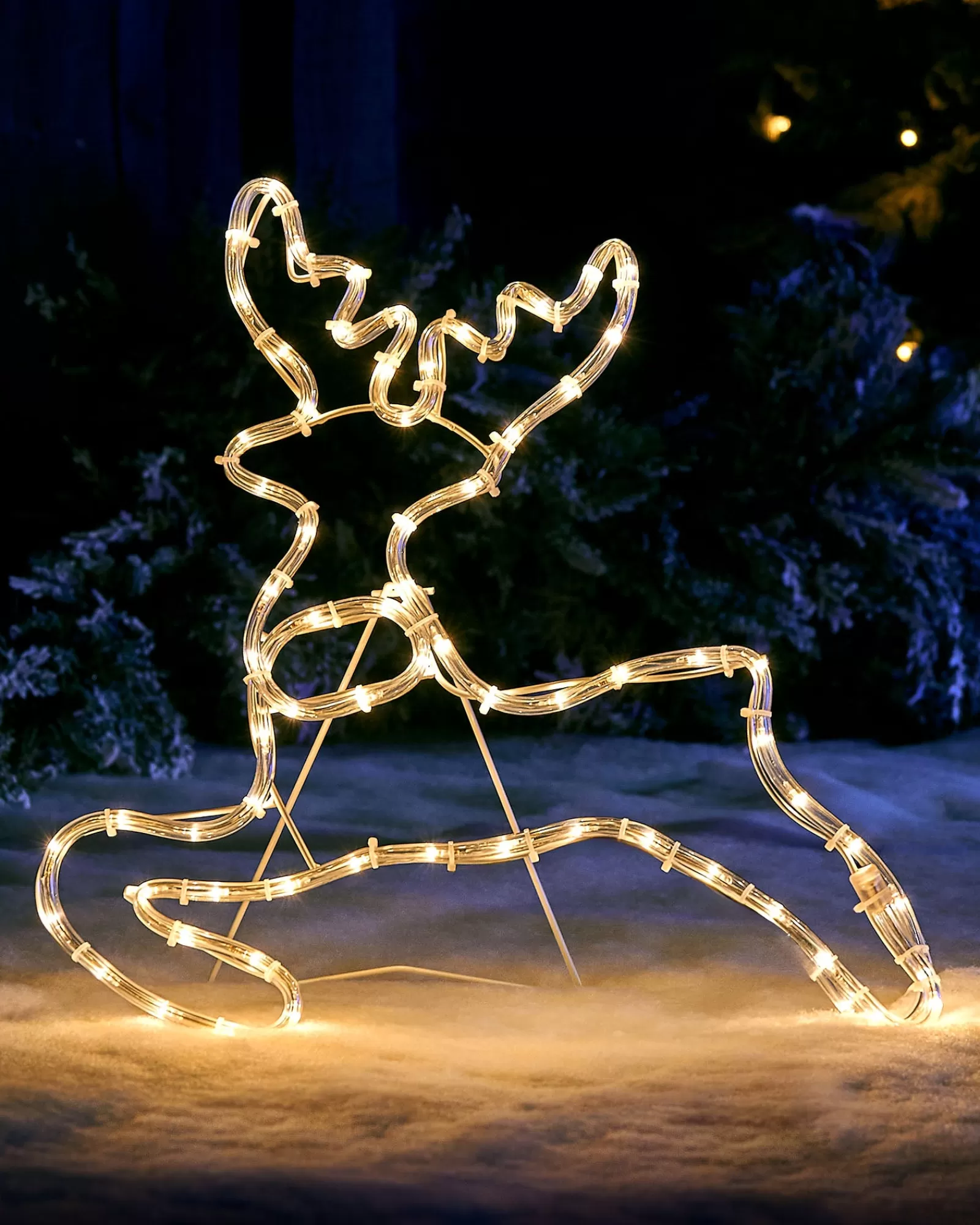 WeRChristmas Outdoor Lighted Reindeer^2D Reindeer LED Rope Light Silhouette, 60 Cm