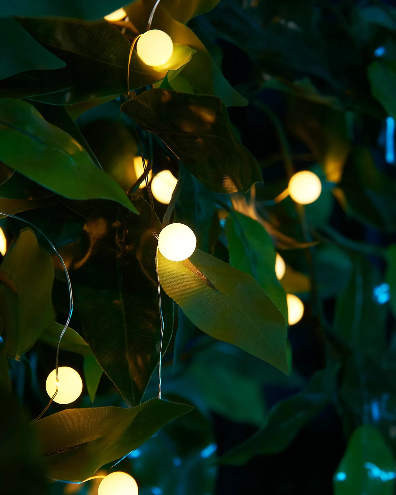 WeRChristmas Fairy Lights | Tree Lights^80 Pastel Warm White Micro LED Berry Lights, 2.4 M