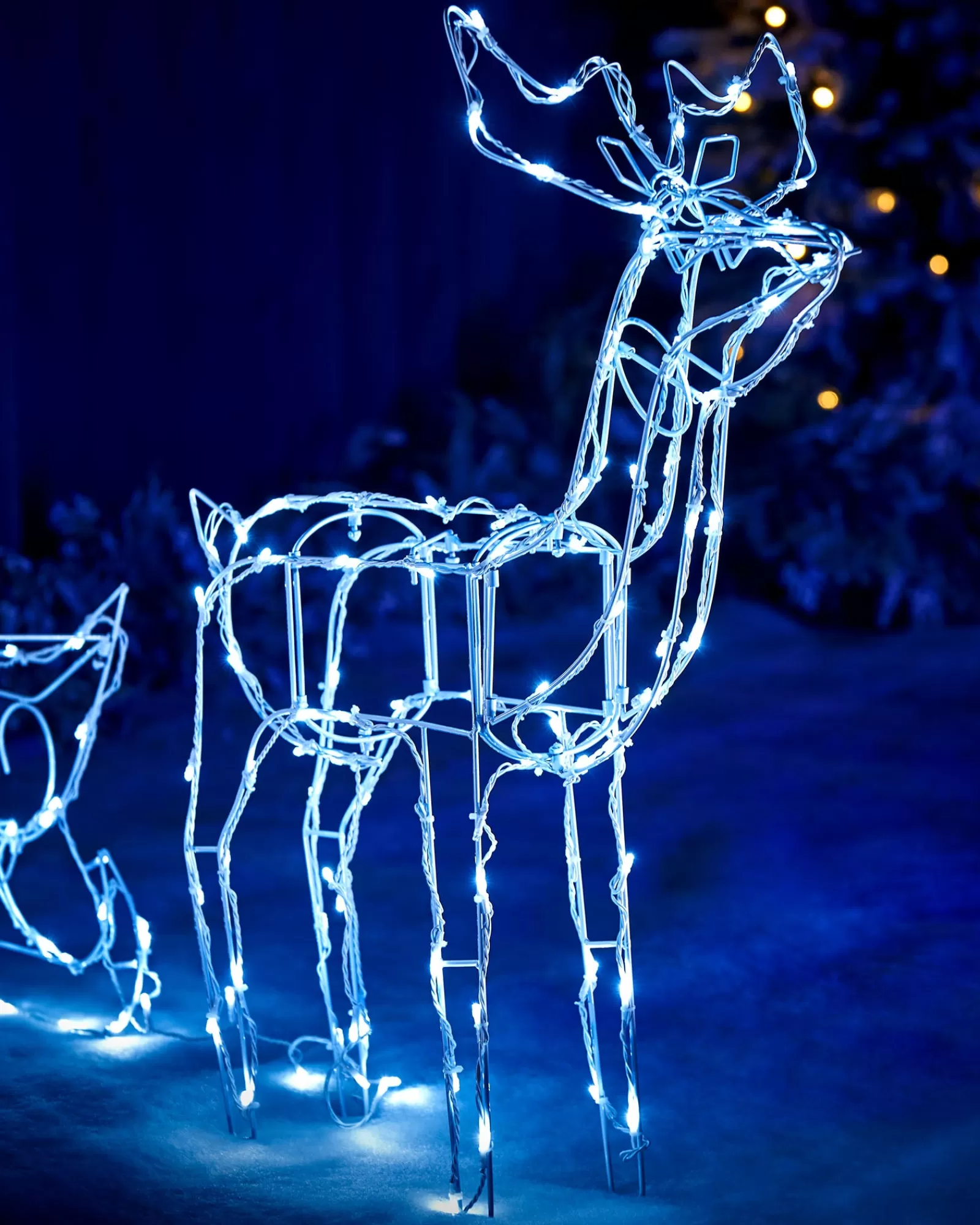 WeRChristmas Outdoor Lighted Reindeer^Animated Multi-Function Reindeer And Sleigh Silhouette, 80 Cm