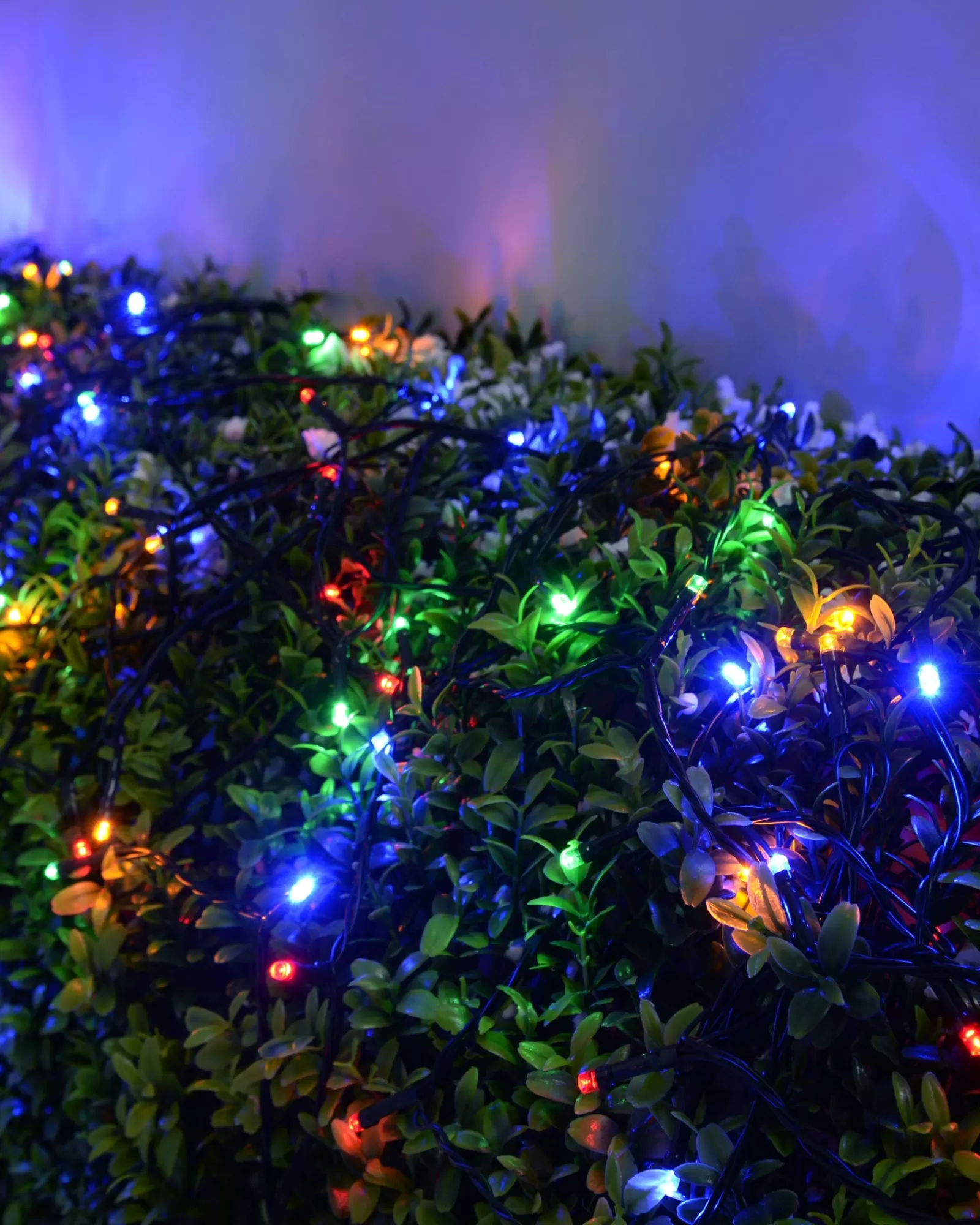 WeRChristmas Fairy Lights | Tree Lights^Battery Operated Multi-Function 100 LED Light String With Timer, Multi-Coloured