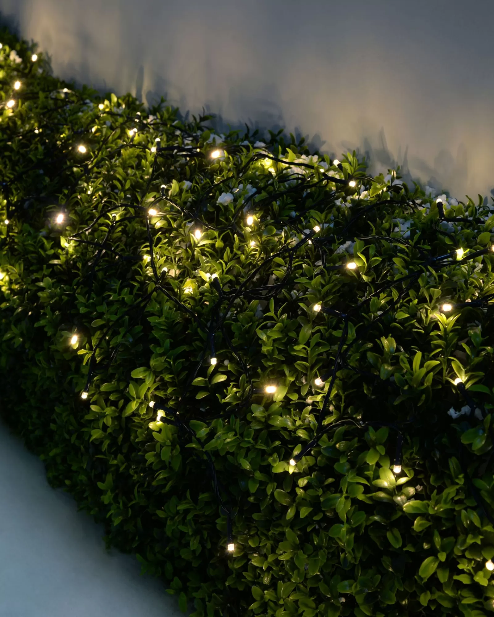 WeRChristmas Fairy Lights | Tree Lights^Battery Operated Multi-Function 100 LED Light String With Timer, Warm White