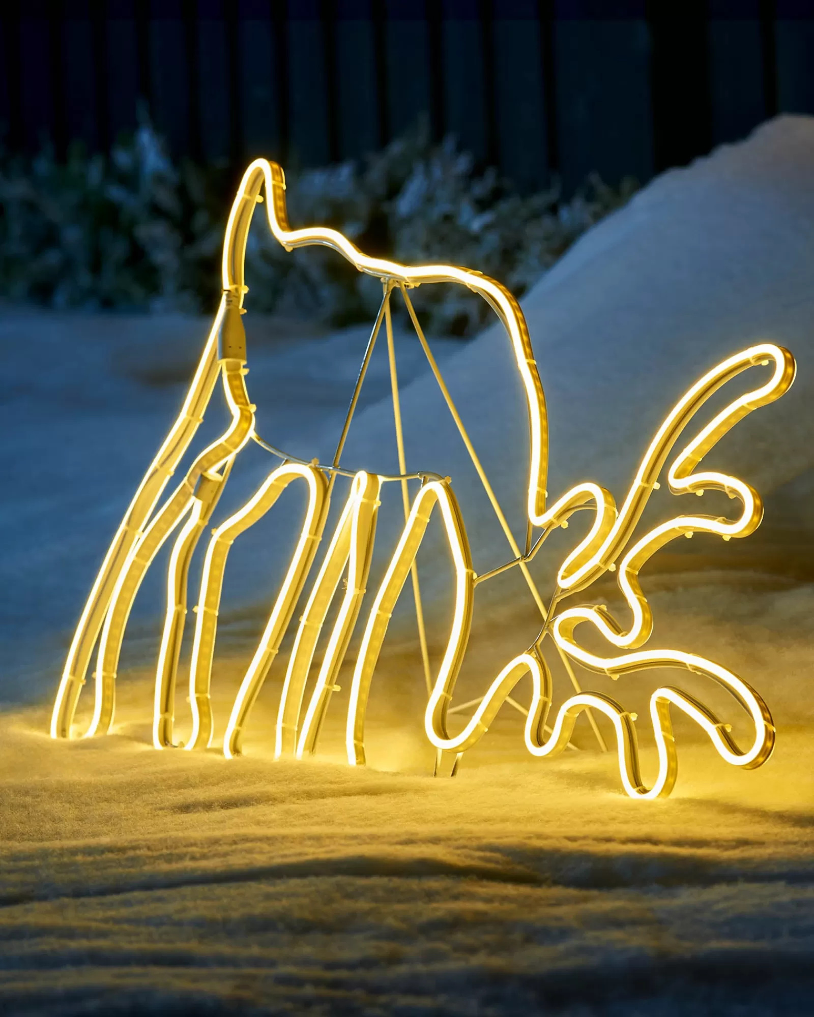 WeRChristmas Outdoor Lighted Reindeer^Grazing Reindeer Neon Rope Light Silhouette, 82 Cm