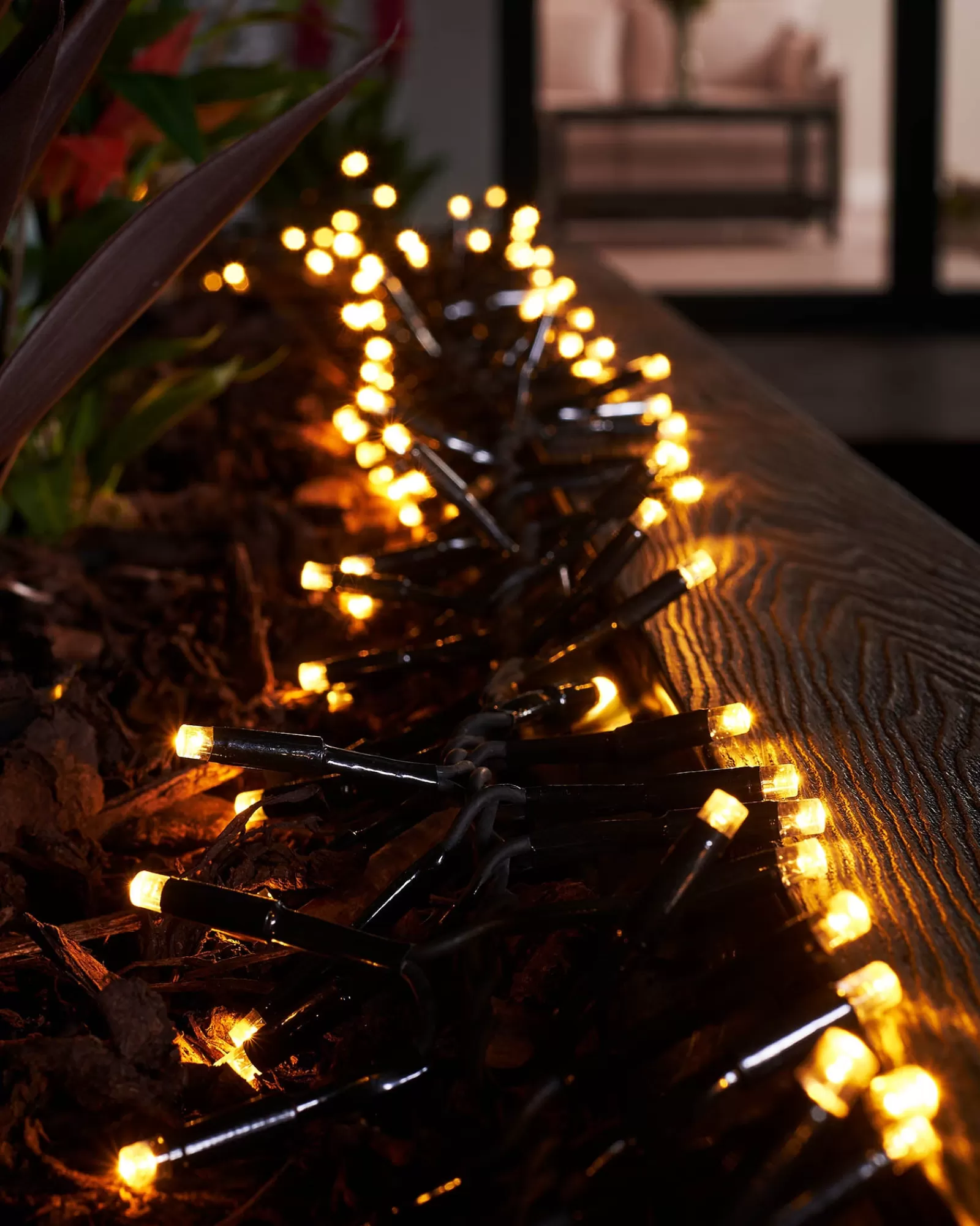 WeRChristmas Link Pro | Cluster Lights^LINK PRO LED Cluster Lights, Black Cable, Warm White