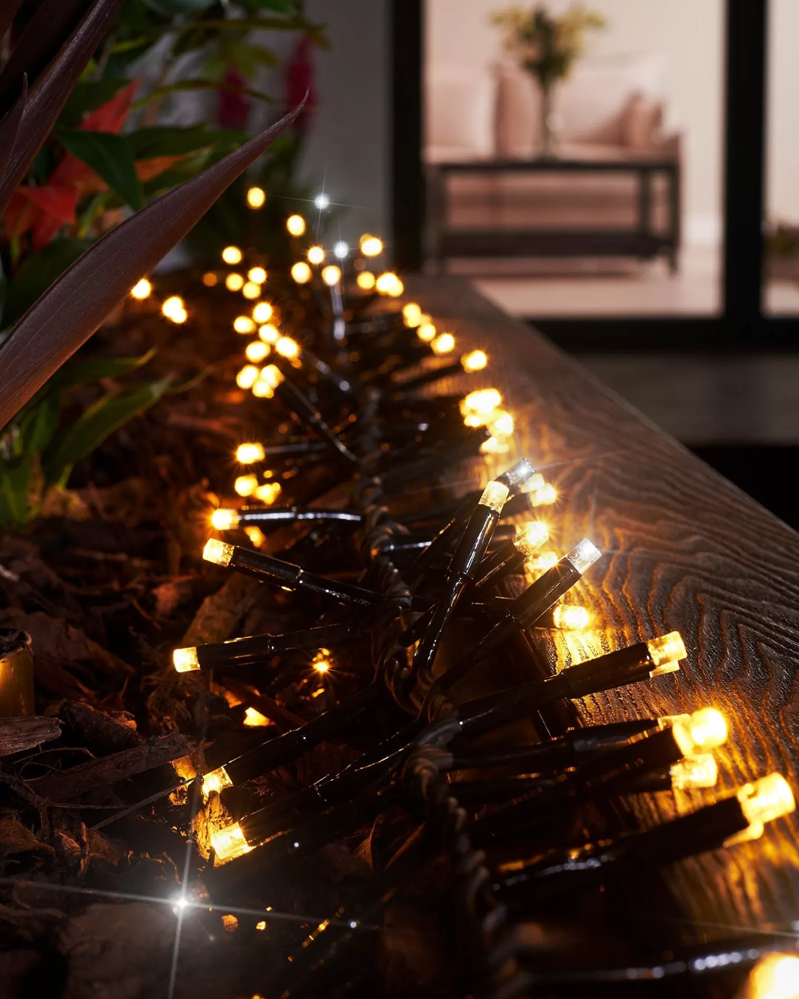 WeRChristmas Link Pro | Cluster Lights^LINK PRO LED Cluster Lights, Black Cable, Warm White / White