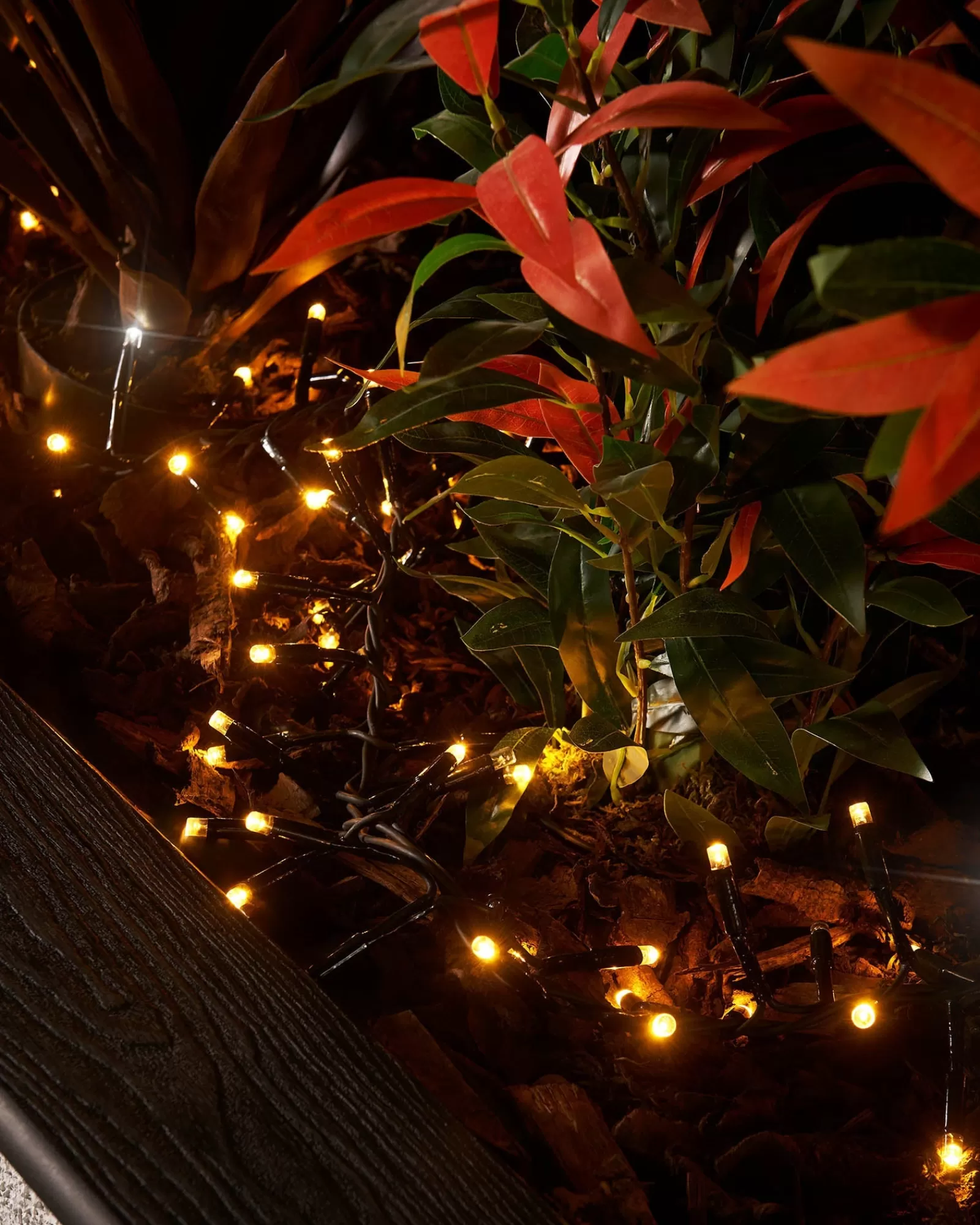 WeRChristmas Link Pro | Cluster Lights^LINK PRO LED Cluster Lights, Black Cable, Warm White / White