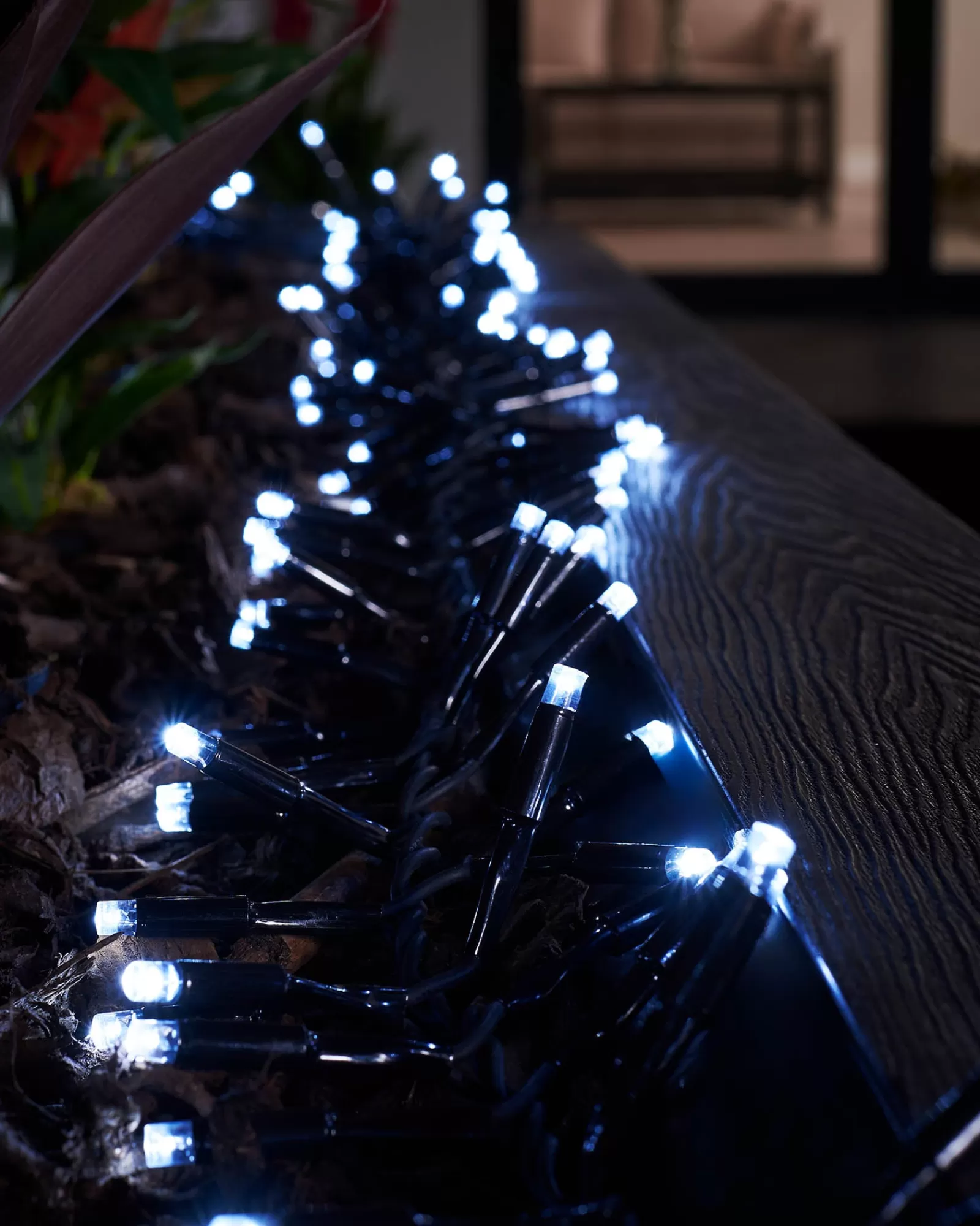 WeRChristmas Link Pro | Cluster Lights^LINK PRO LED Cluster Lights, Black Cable, White