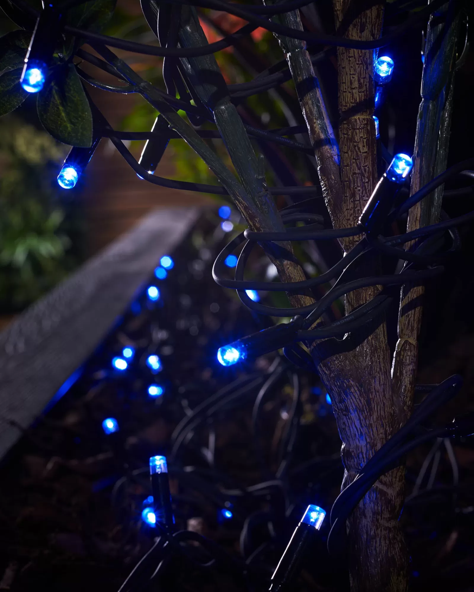 WeRChristmas Link Pro | Fairy Lights^LINK PRO LED String Lights, Black Cable, Blue