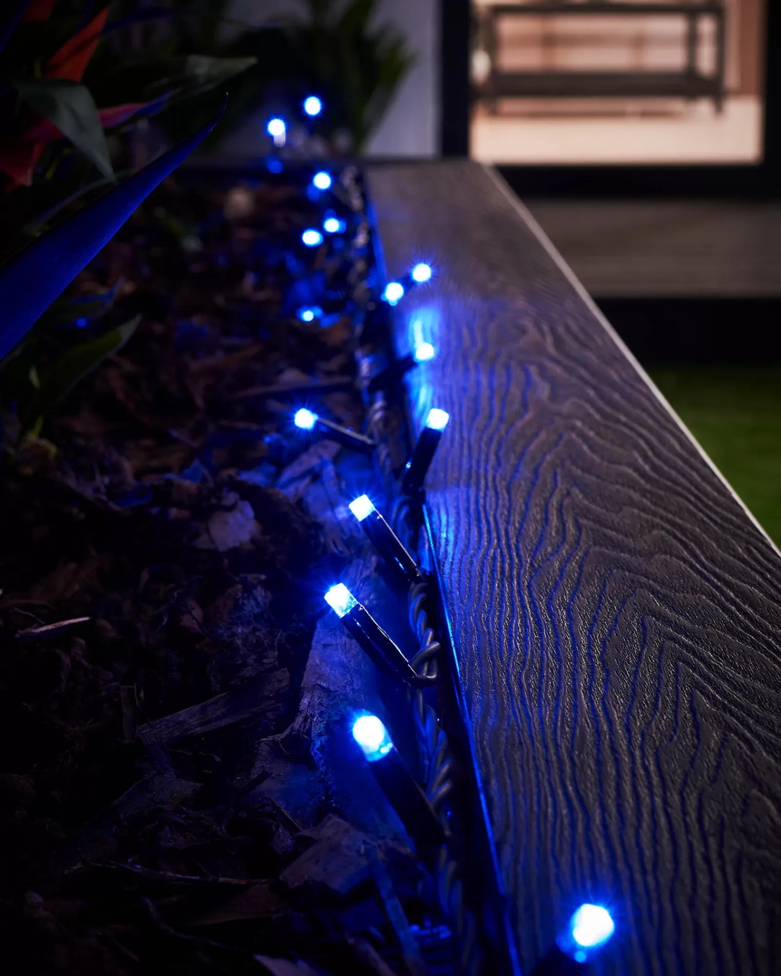 WeRChristmas Link Pro | Fairy Lights^LINK PRO LED String Lights, Black Cable, Blue