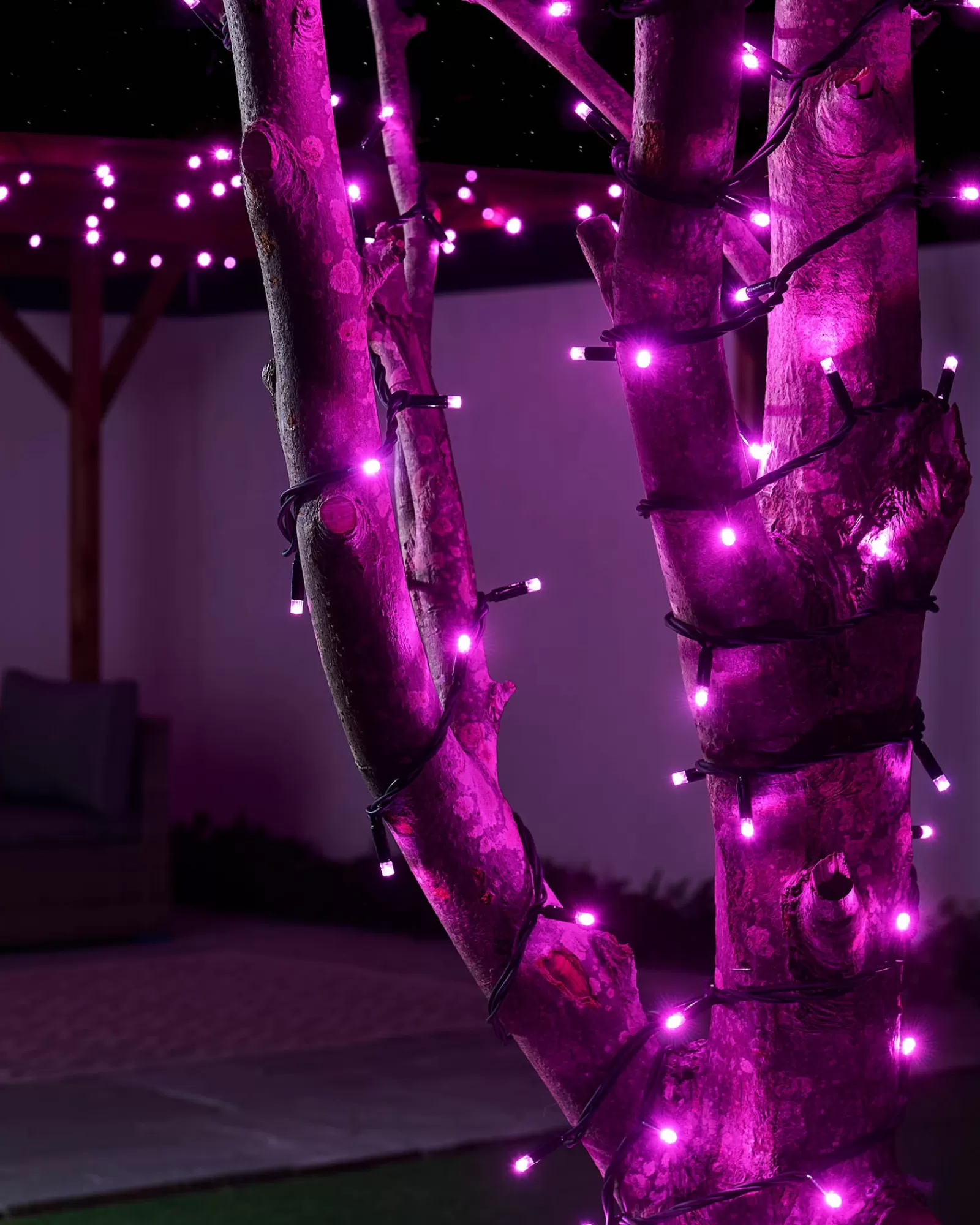 WeRChristmas Link Pro | Fairy Lights^LINK PRO LED String Lights, Black Cable, Pink