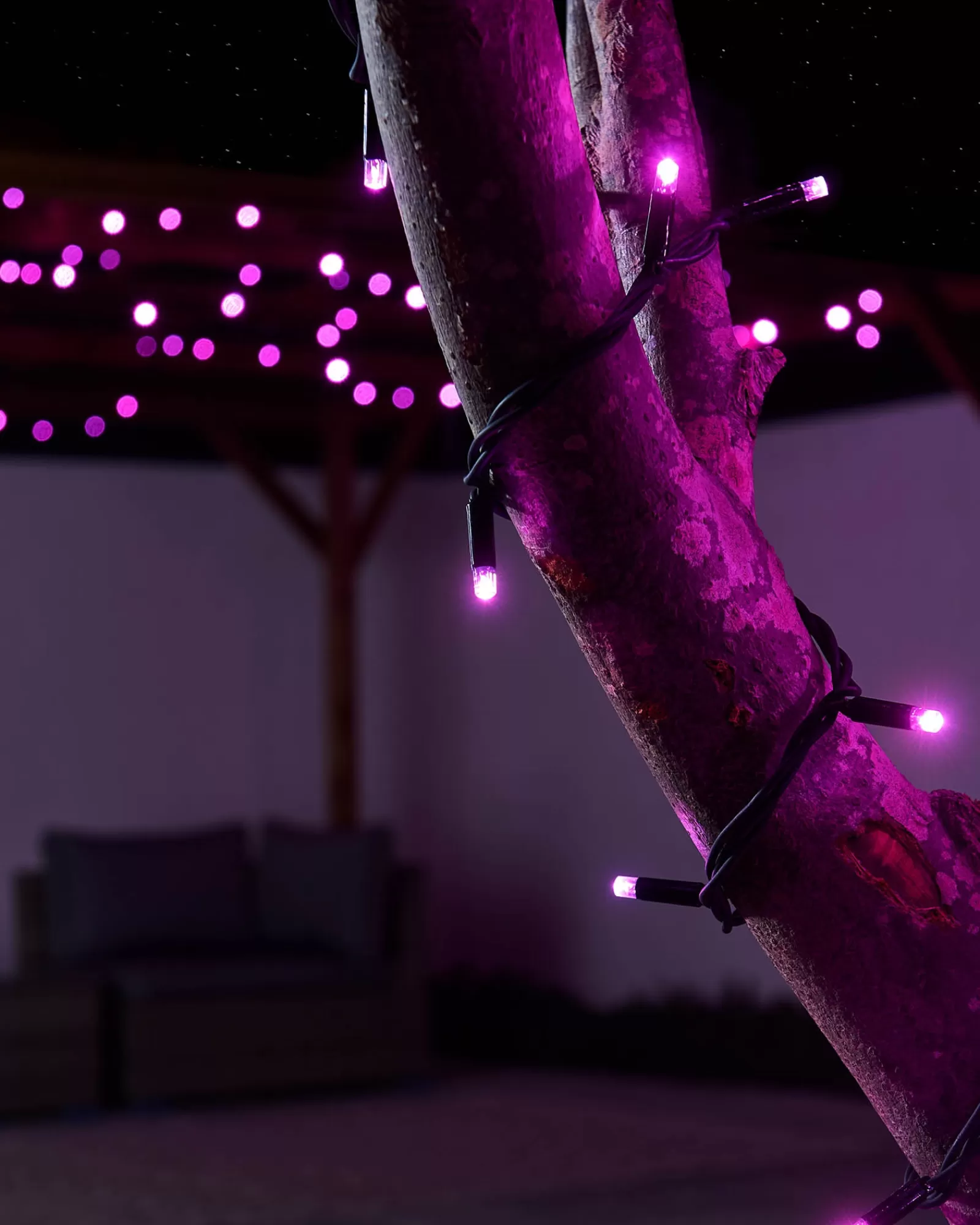 WeRChristmas Link Pro | Fairy Lights^LINK PRO LED String Lights, Black Cable, Pink