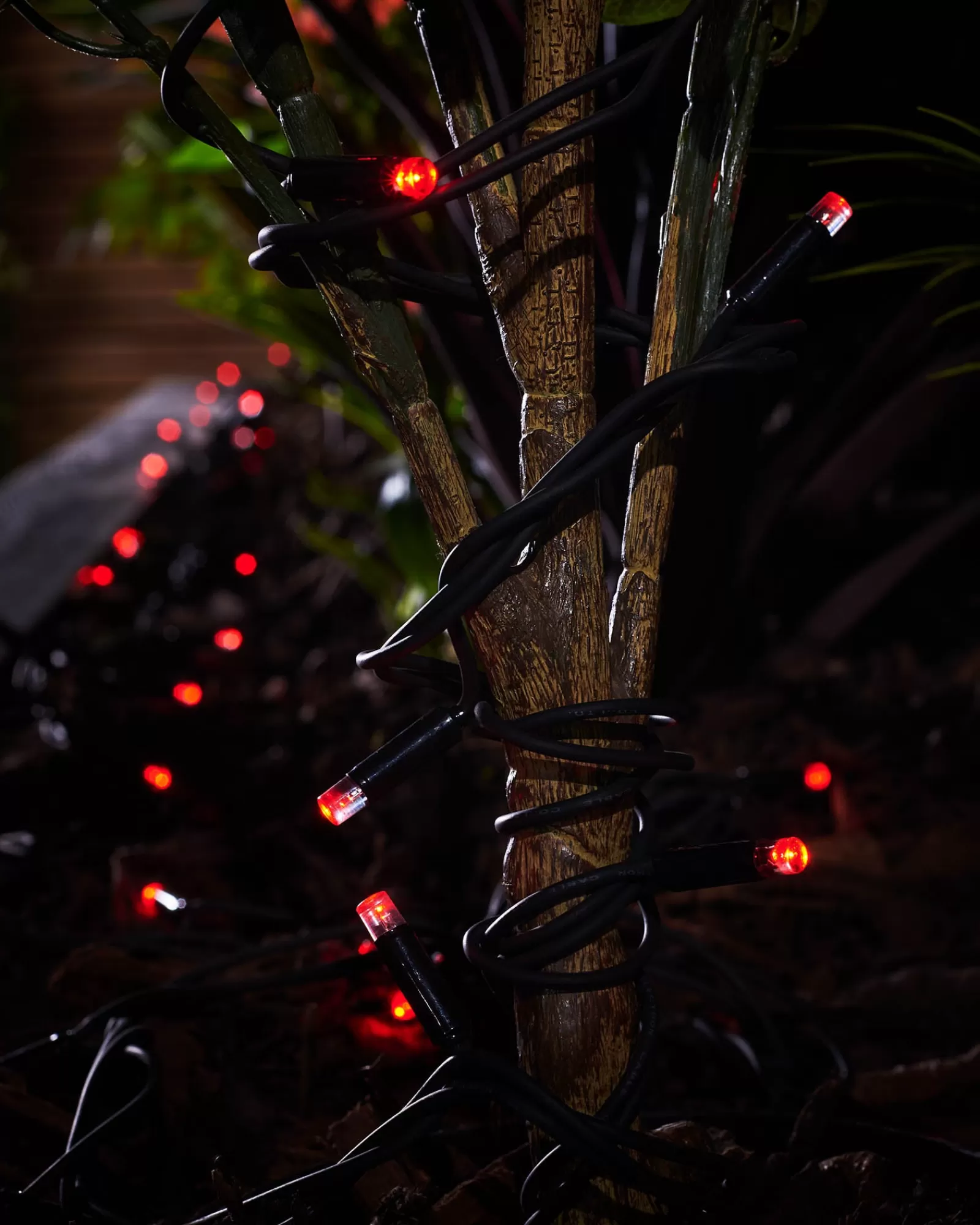 WeRChristmas Link Pro | Fairy Lights^LINK PRO LED String Lights, Black Cable, Red