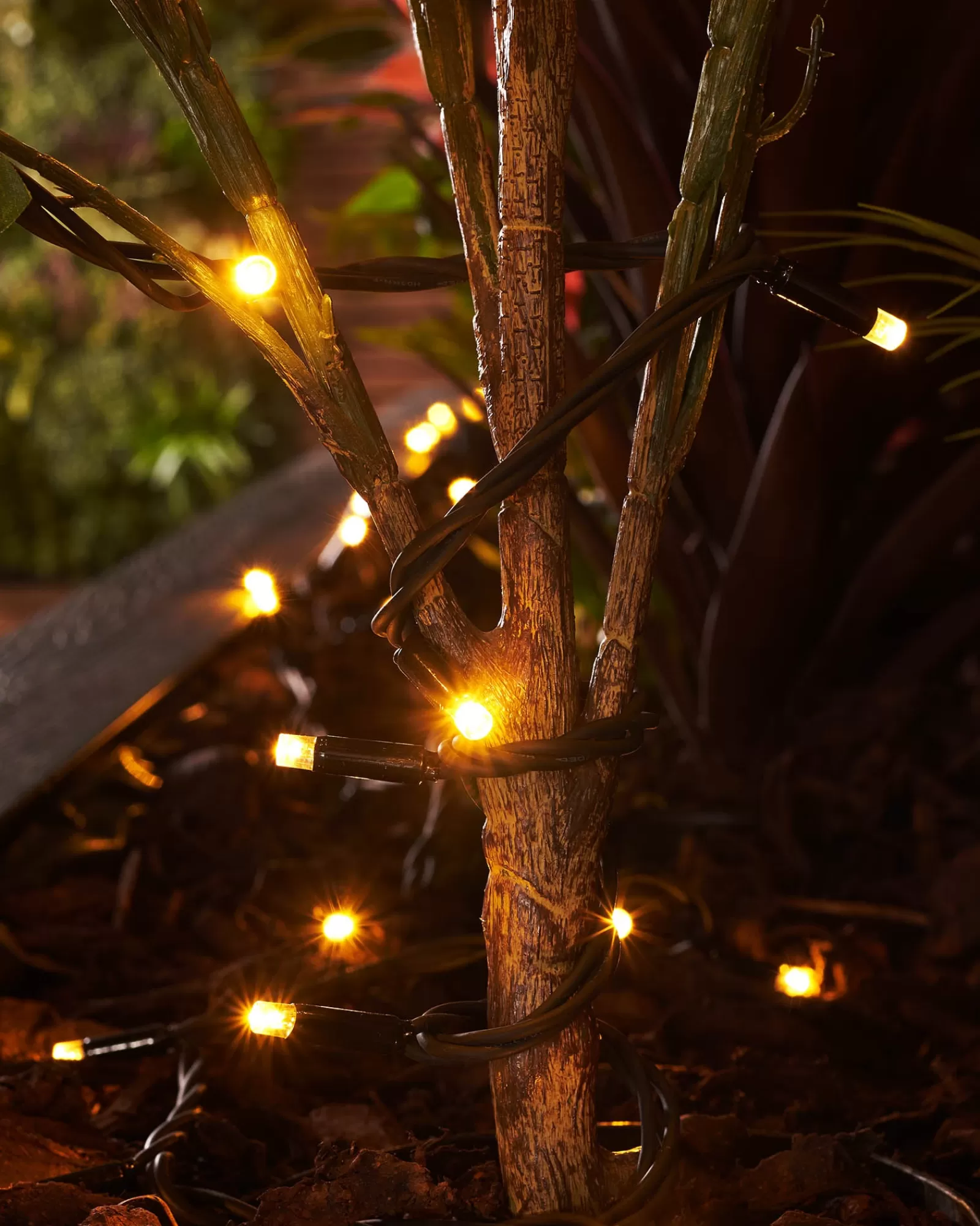 WeRChristmas Link Pro | Fairy Lights^LINK PRO LED String Lights, Black Cable, Warm White