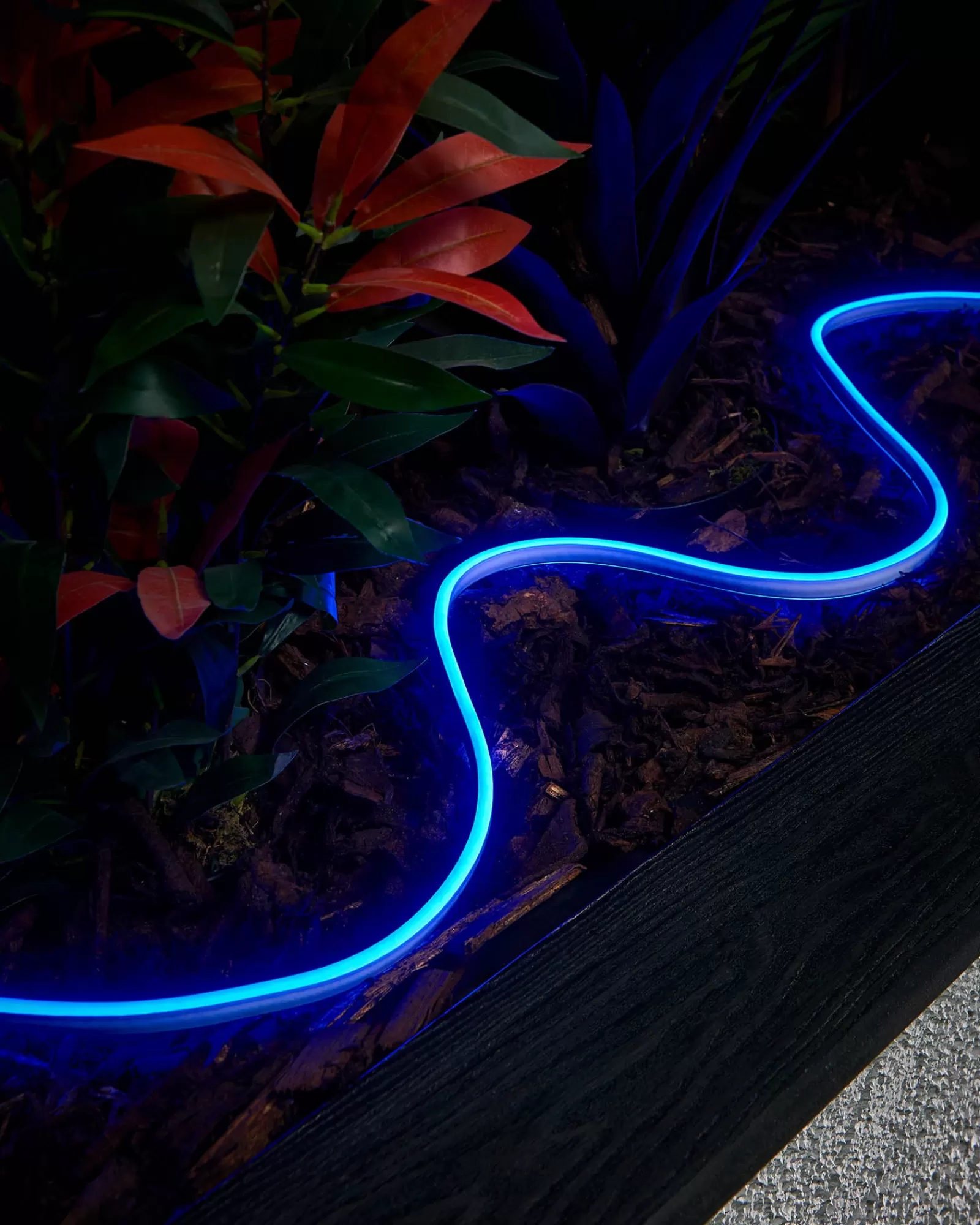 WeRChristmas Link Pro | Connectable Lights^LINK PRO Neon Flex, Made To Measure, Blue