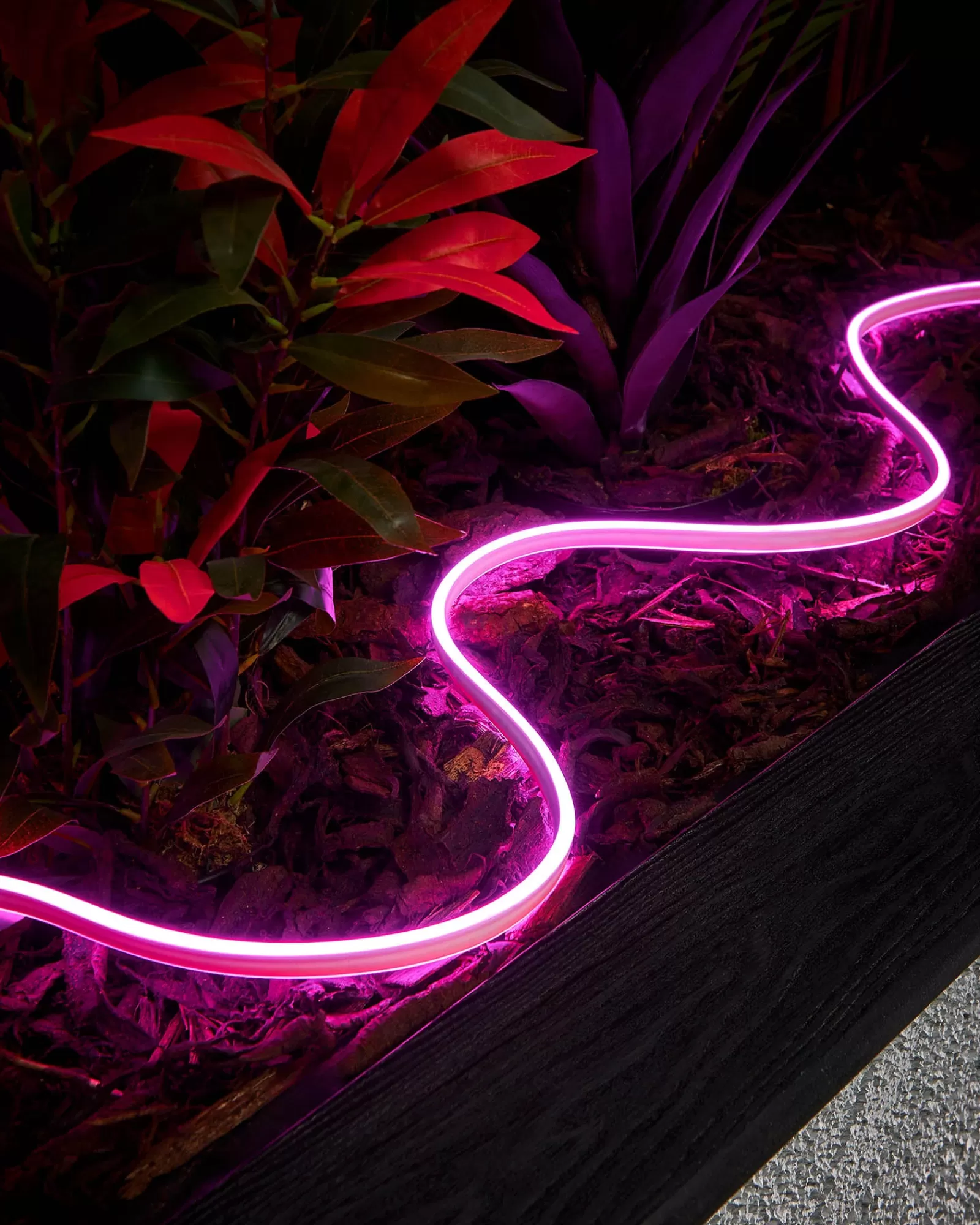 WeRChristmas Link Pro | Connectable Lights^LINK PRO Neon Flex, Made To Measure, Pink