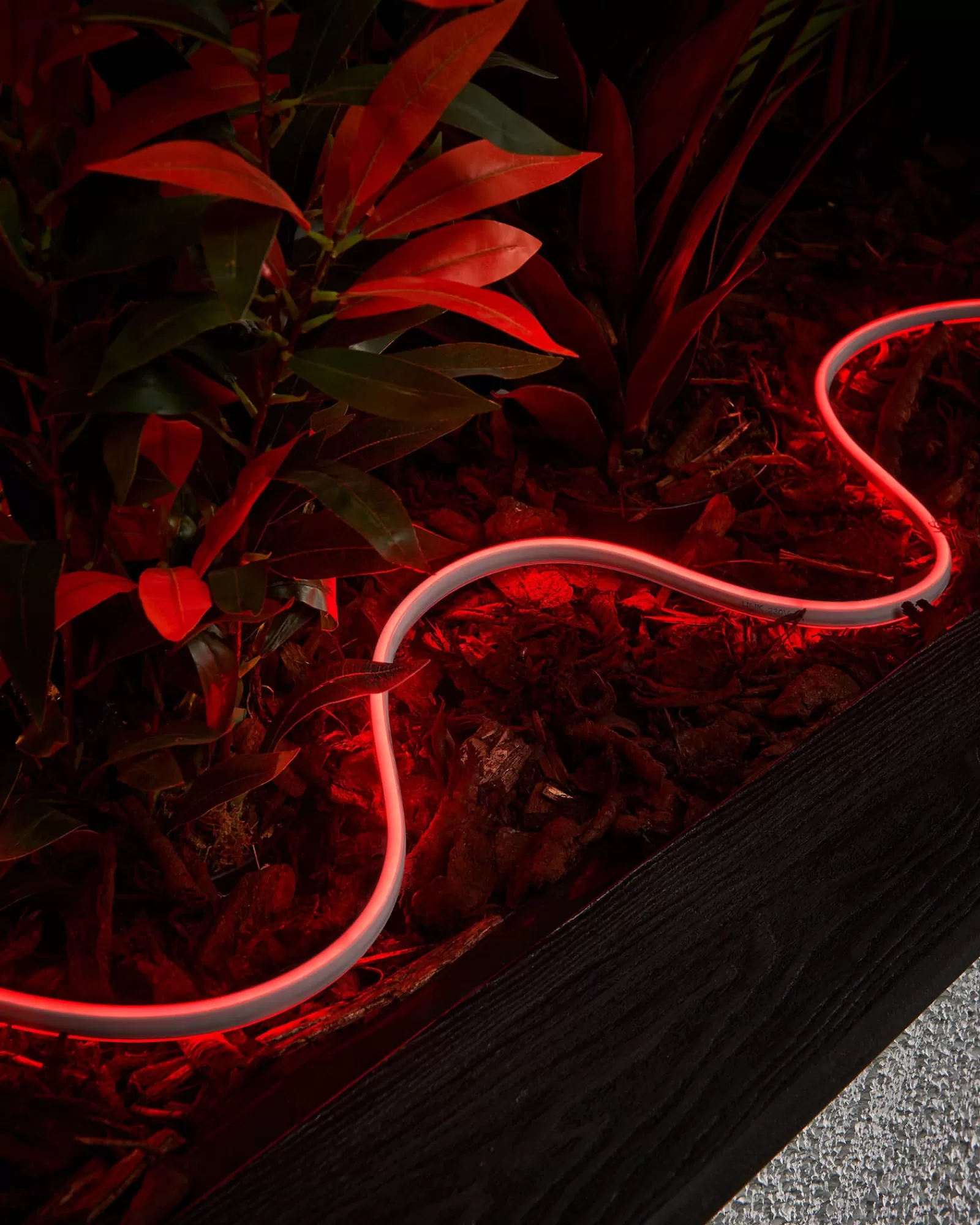 WeRChristmas Link Pro | Connectable Lights^LINK PRO Neon Flex, Made To Measure, Red