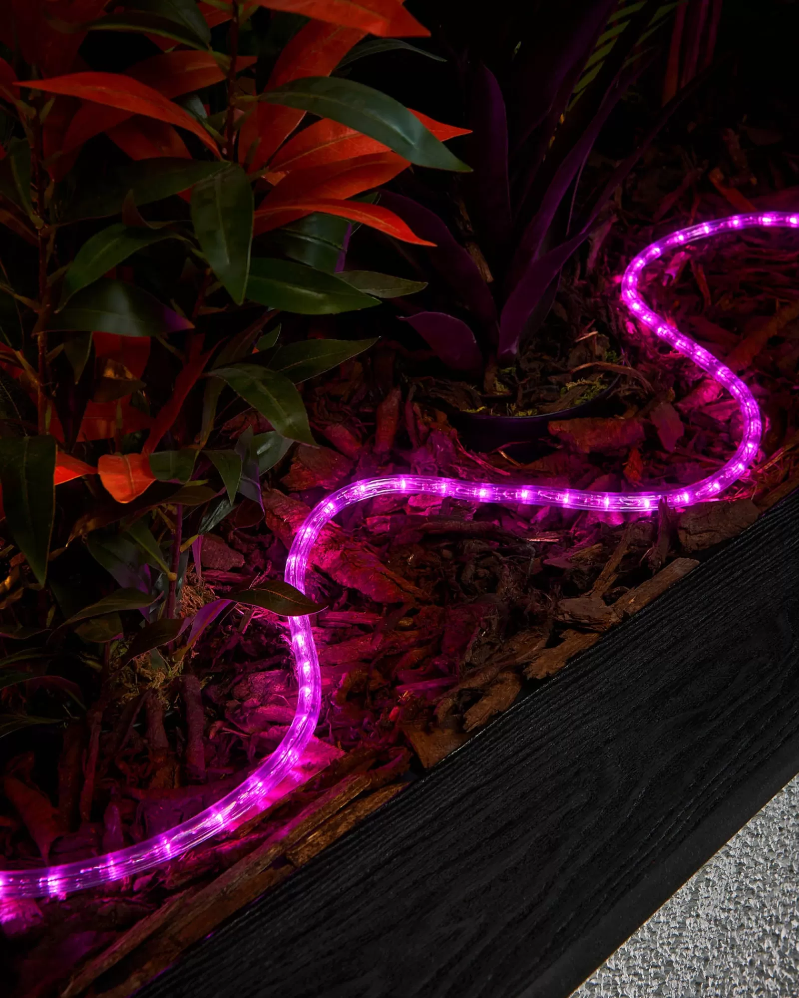 WeRChristmas Link Pro | Connectable Lights^LINK PRO Rope Light, Made To Measure, Pink