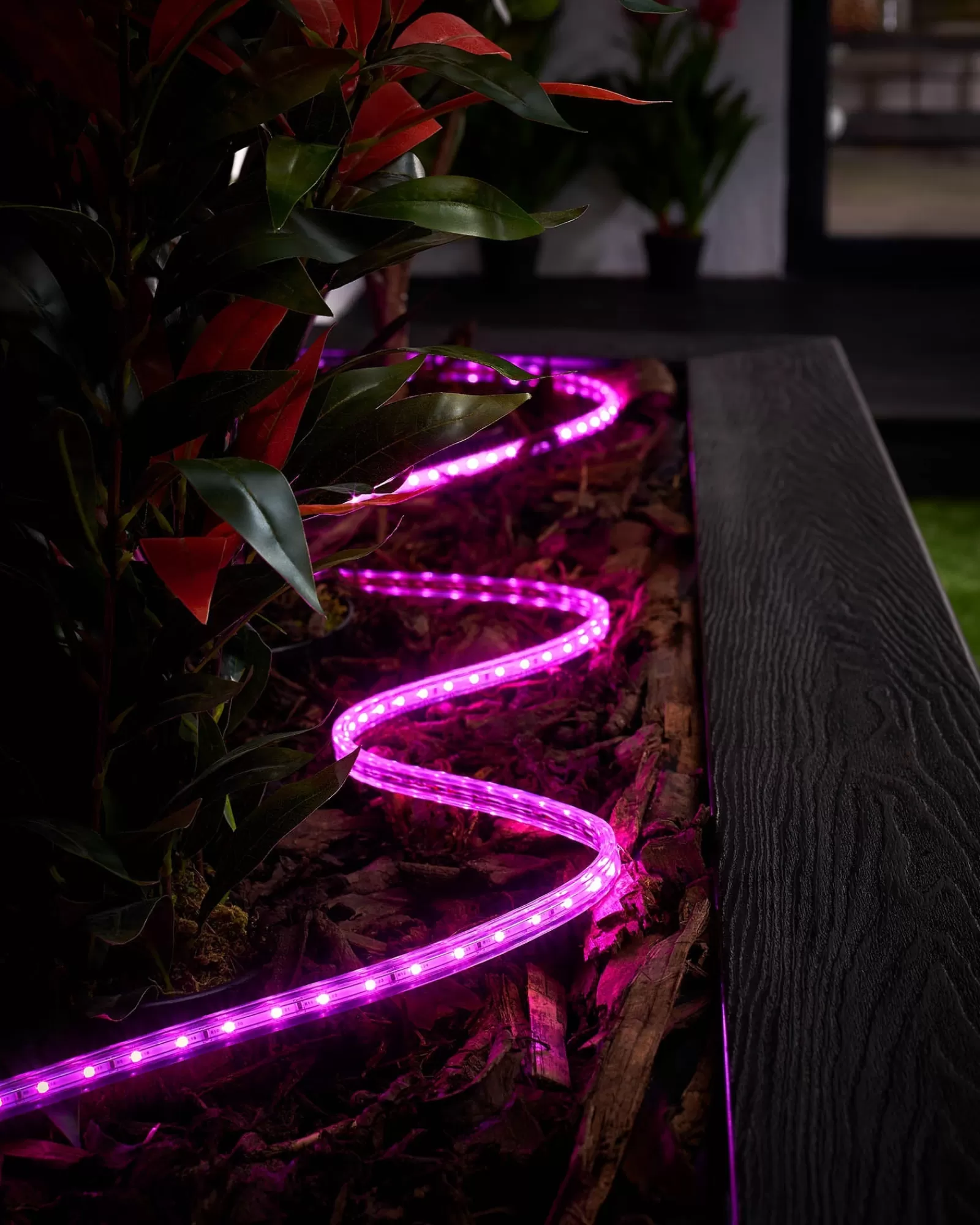 WeRChristmas Link Pro | Connectable Lights^LINK PRO Strip Light, Made To Measure, Pink