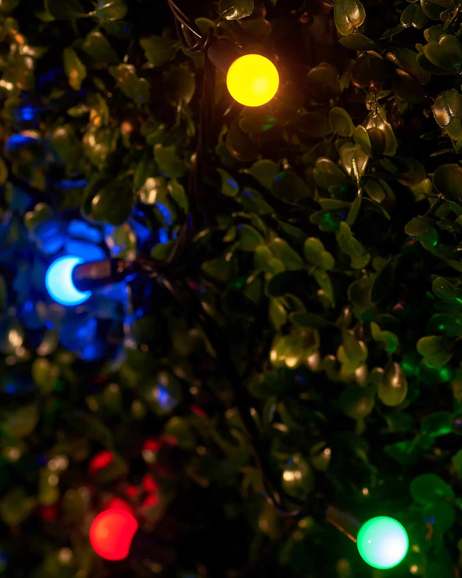 WeRChristmas Link Up | Fairy Lights^LINK UP LED Berry Lights, Black Cable, Multi Colour