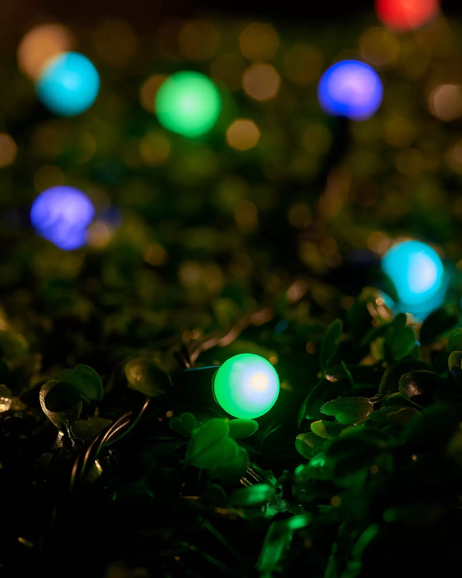 WeRChristmas Link Up | Fairy Lights^LINK UP LED Berry Lights, Black Cable, Pastel Multi Colour