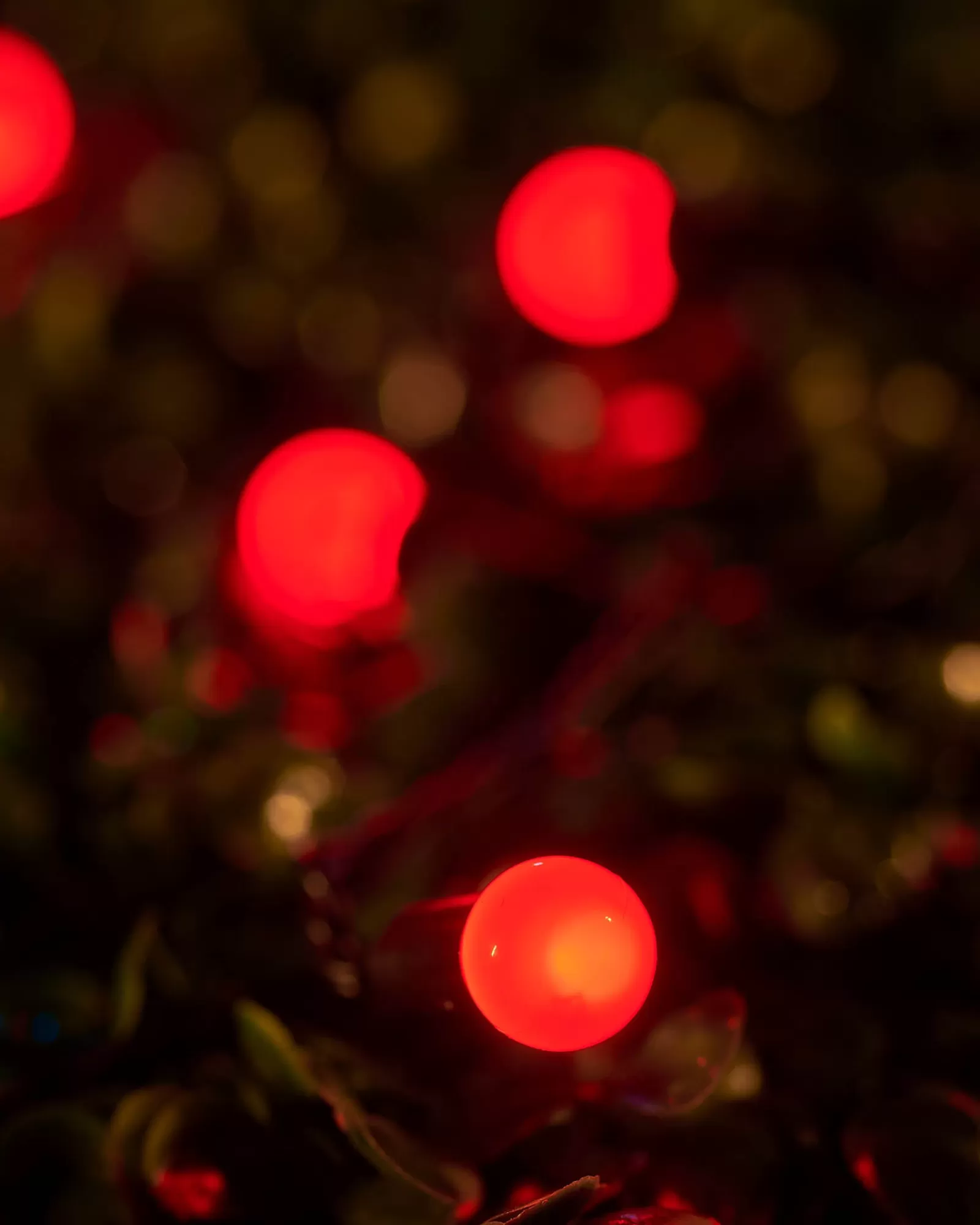 WeRChristmas Link Up | Fairy Lights^LINK UP LED Berry Lights, Black Cable, Red