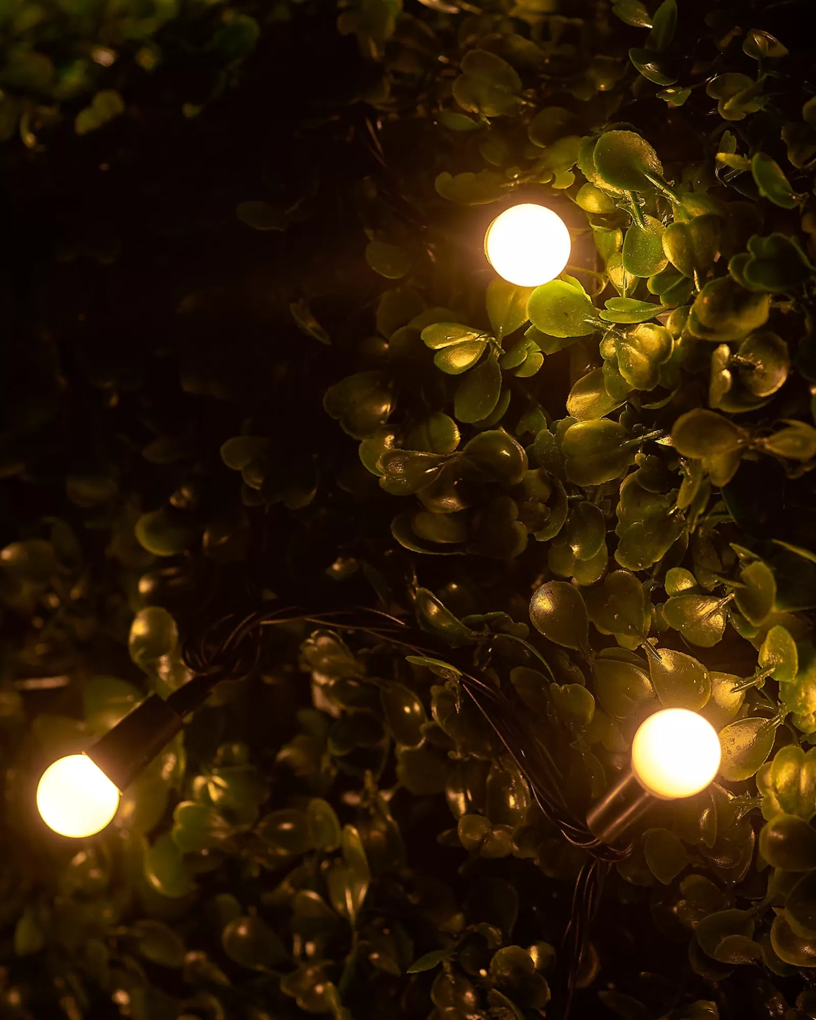 WeRChristmas Link Up | Fairy Lights^LINK UP LED Berry Lights, Black Cable, Warm White