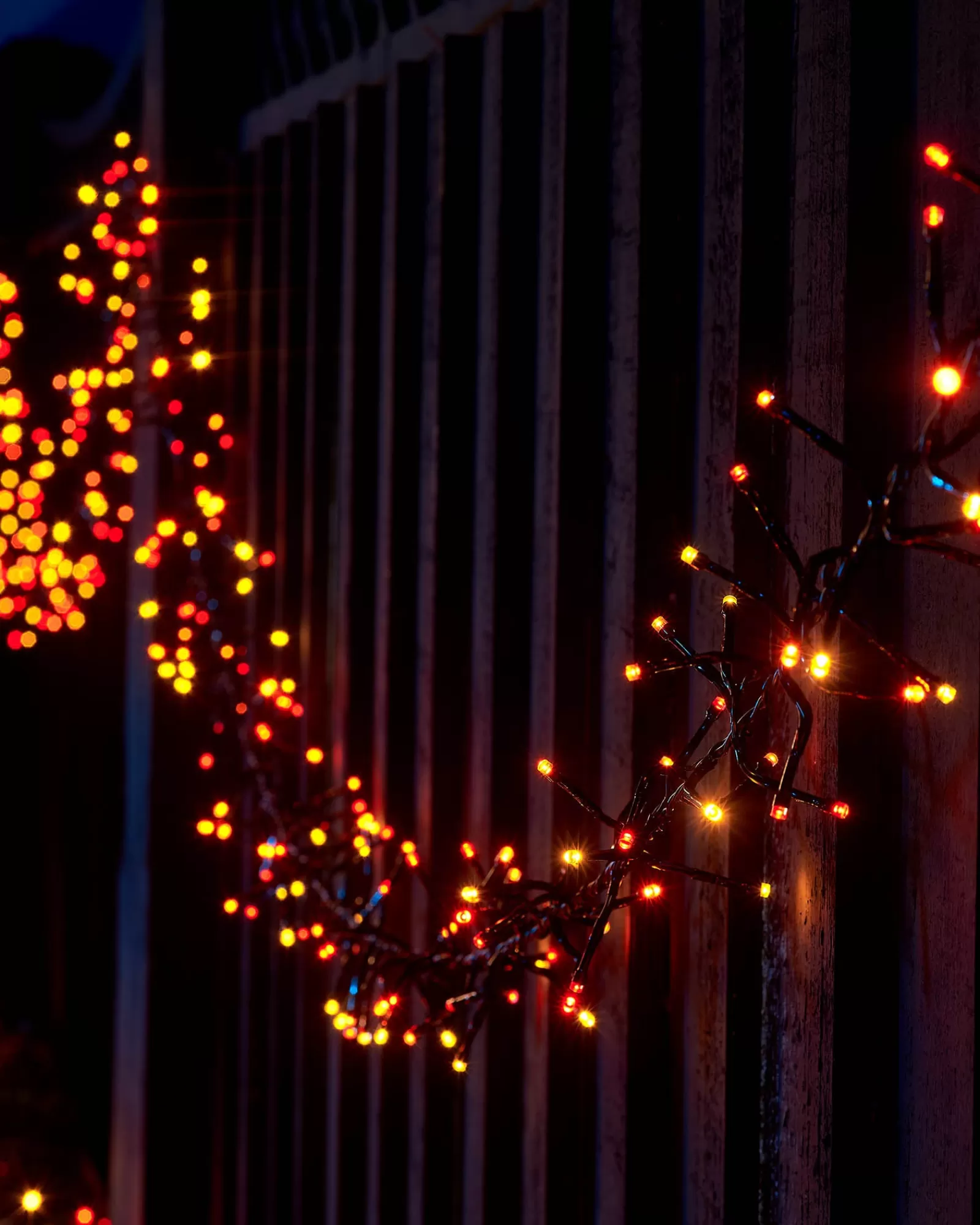 WeRChristmas Link Up | Cluster Lights^LINK UP LED Cluster Lights, Black Cable, Autumn Colour