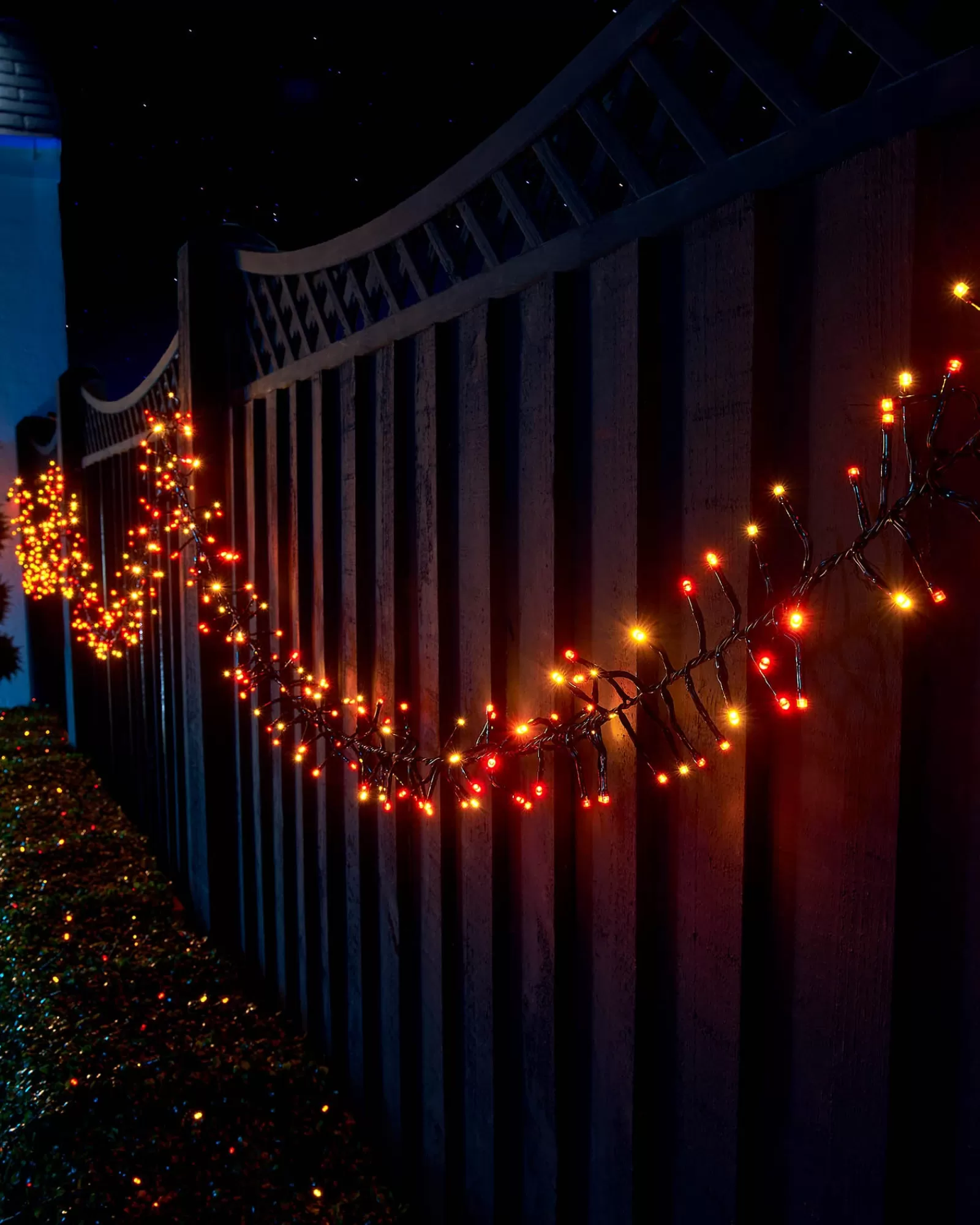 WeRChristmas Link Up | Cluster Lights^LINK UP LED Cluster Lights, Black Cable, Autumn Colour