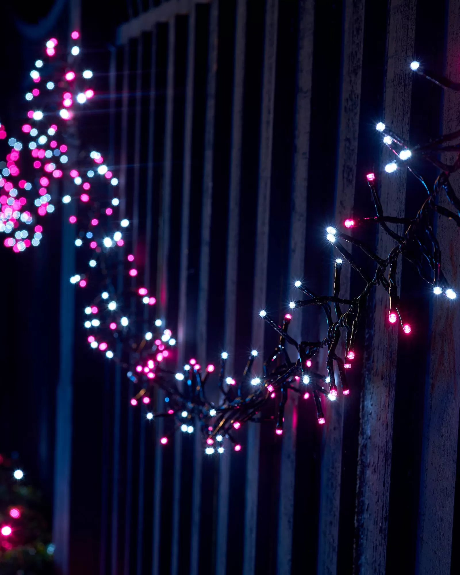 WeRChristmas Link Up | Cluster Lights^LINK UP LED Cluster Lights, Black Cable, Pink / White