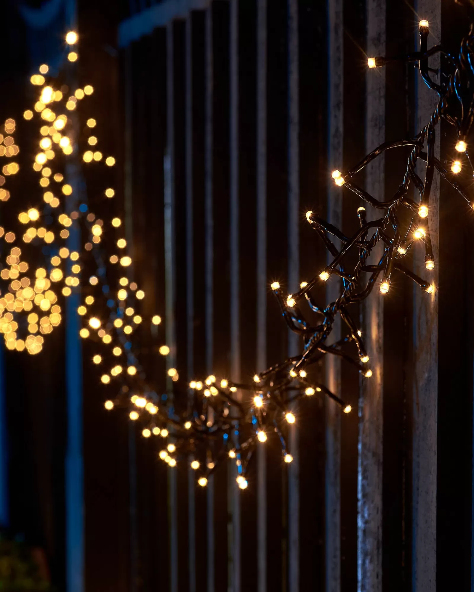 WeRChristmas Link Up | Cluster Lights^LINK UP LED Cluster Lights, Black Cable, Warm White