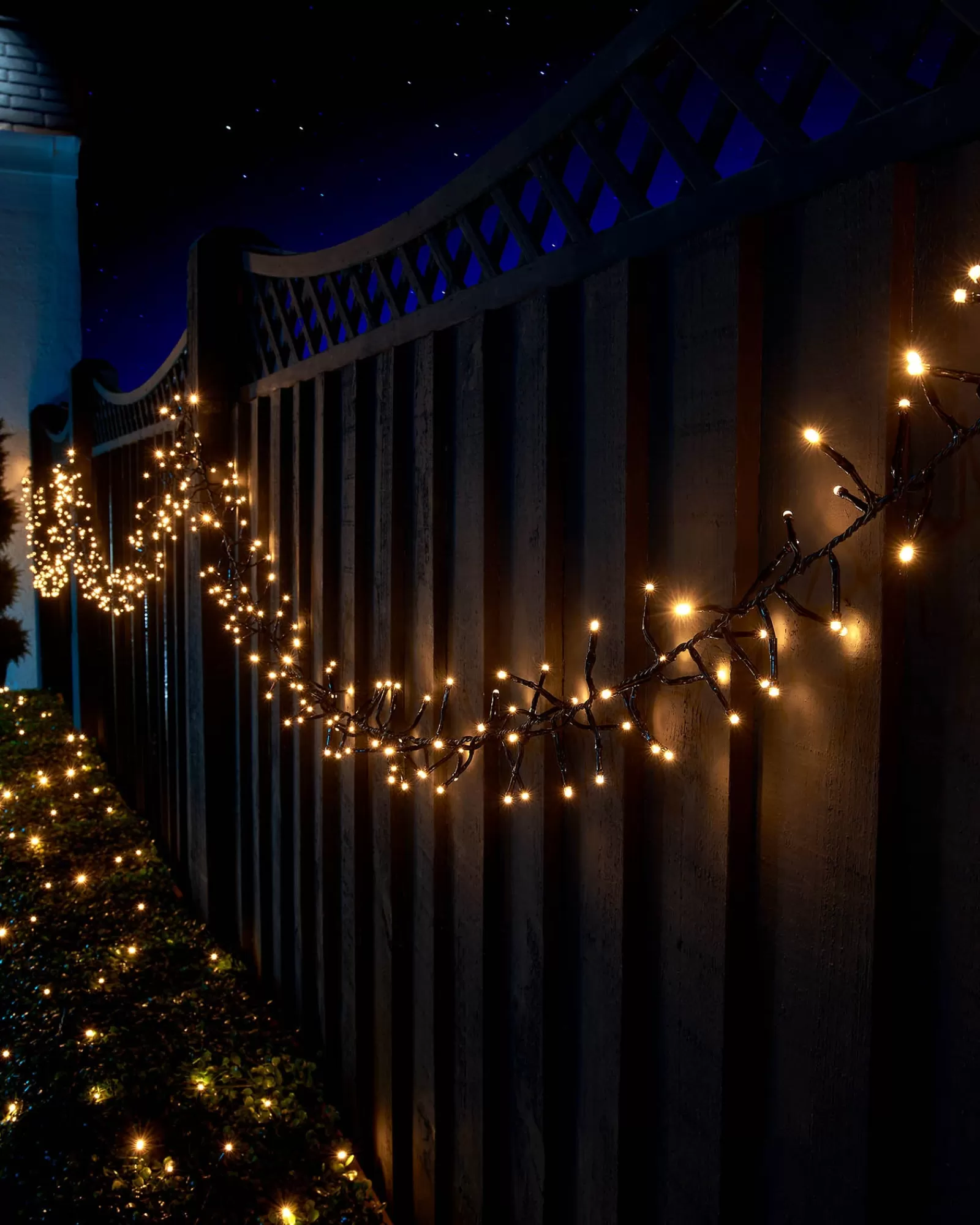 WeRChristmas Link Up | Cluster Lights^LINK UP LED Cluster Lights, Black Cable, Warm White