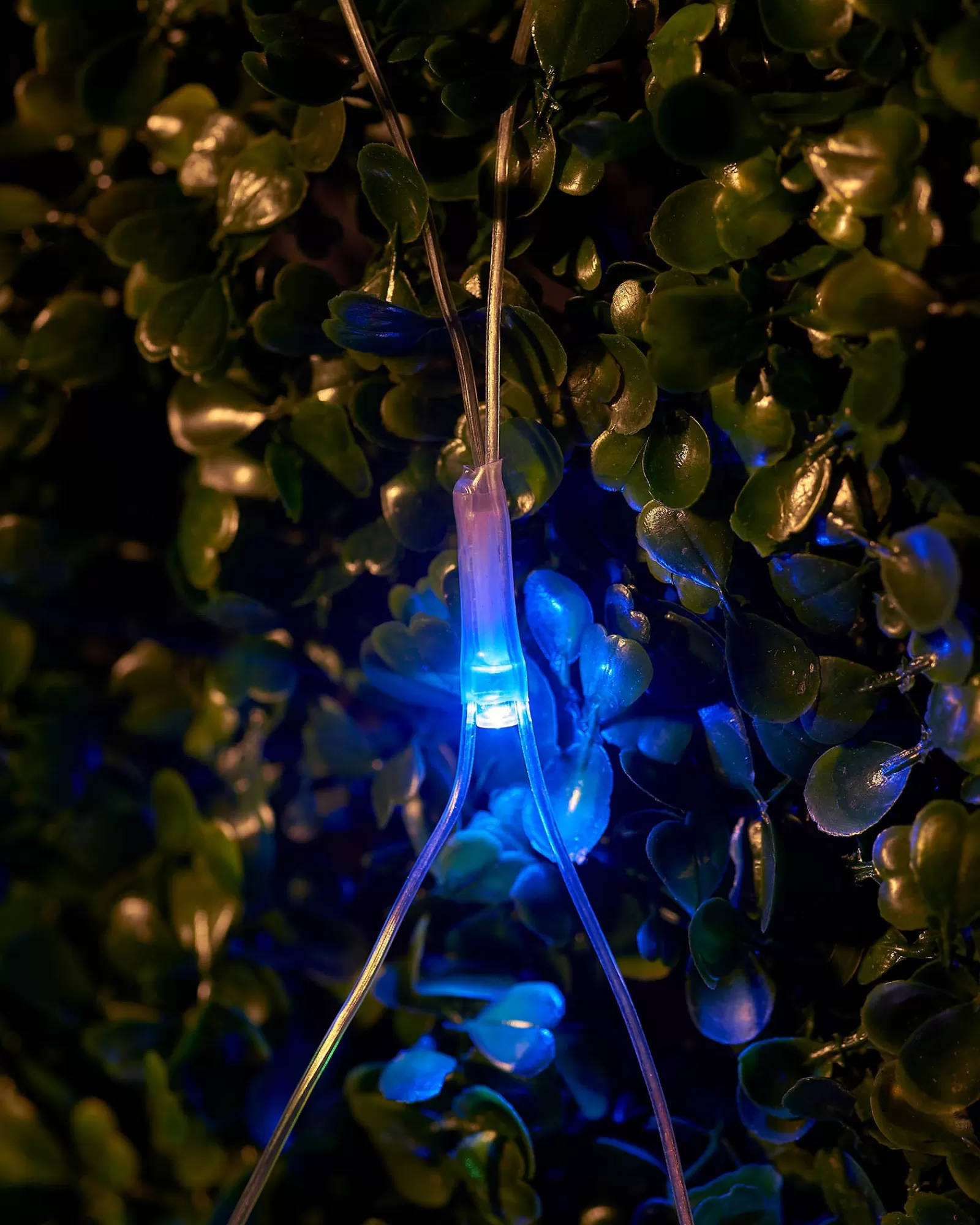 WeRChristmas Link Up | Curtain & Net Lights^LINK UP LED Net Lights, 2 M X 2 M, Multi Colour