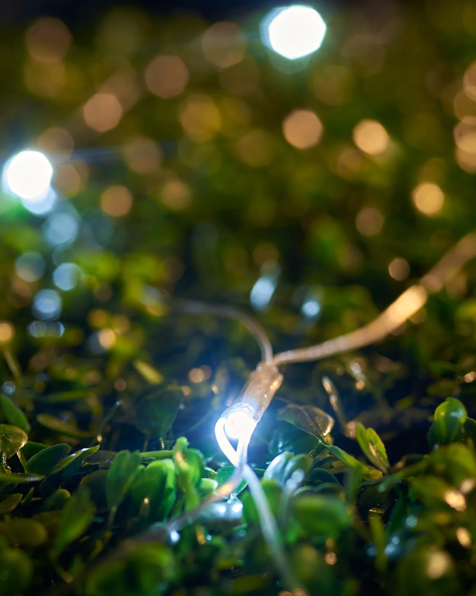 WeRChristmas Link Up | Curtain & Net Lights^LINK UP LED Net Lights, 2 M X 2 M, White