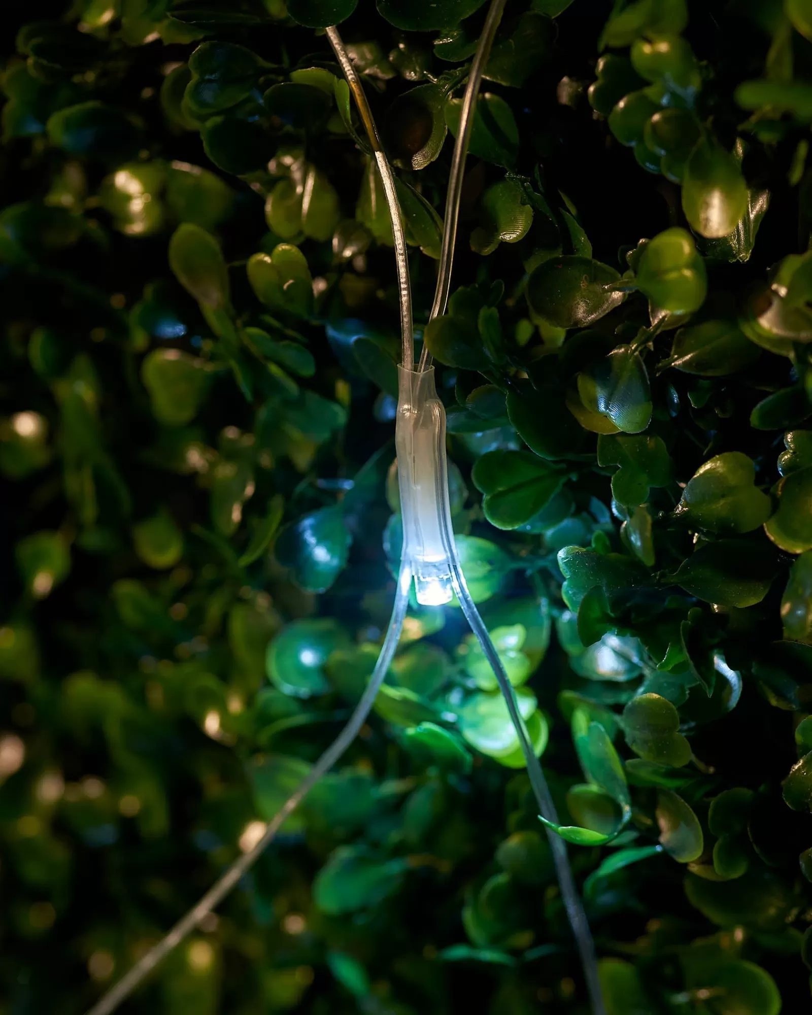 WeRChristmas Link Up | Curtain & Net Lights^LINK UP LED Net Lights, 2 M X 2 M, White