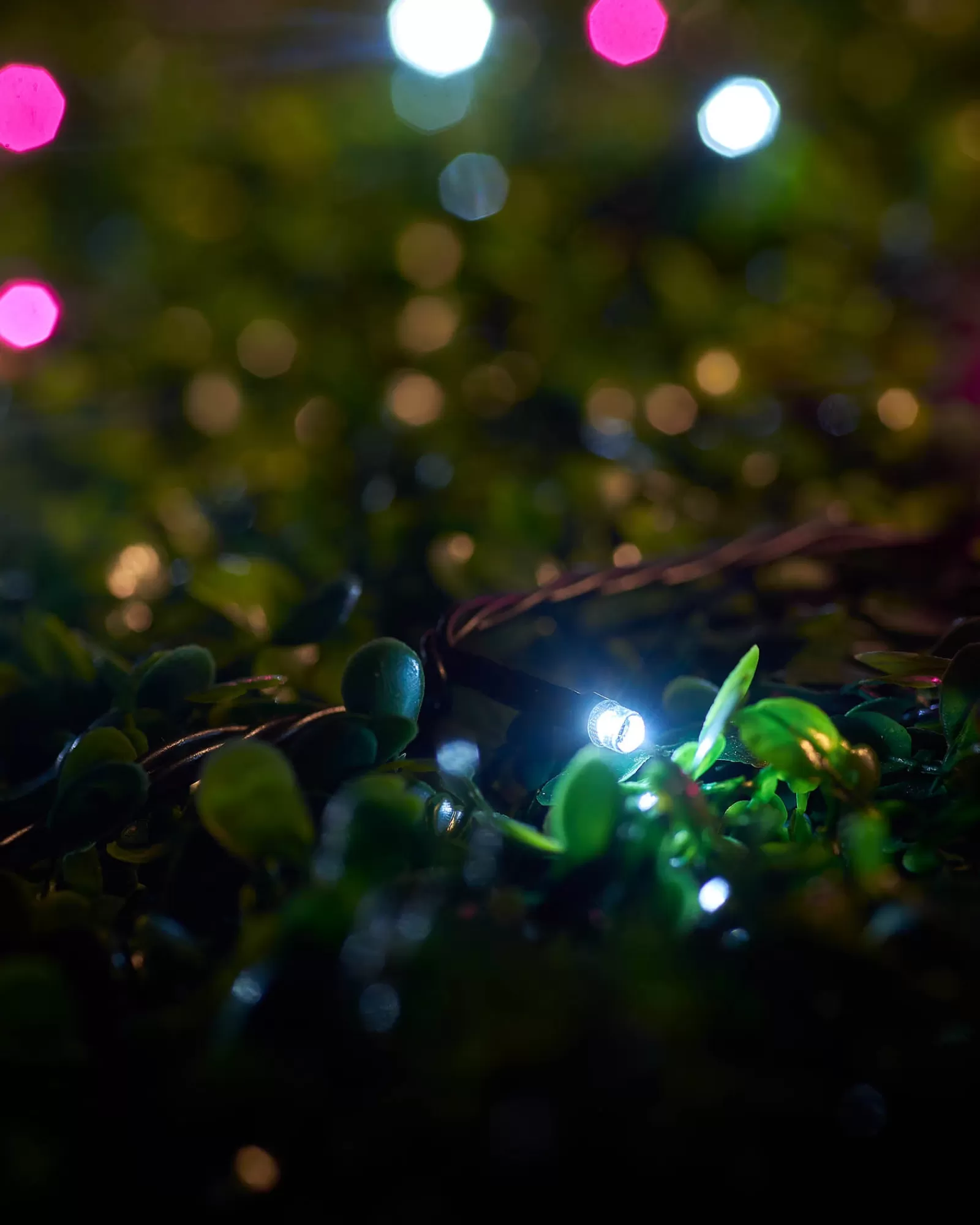 WeRChristmas Link Up | Fairy Lights^LINK UP LED String Lights, Black Cable, Pink / White