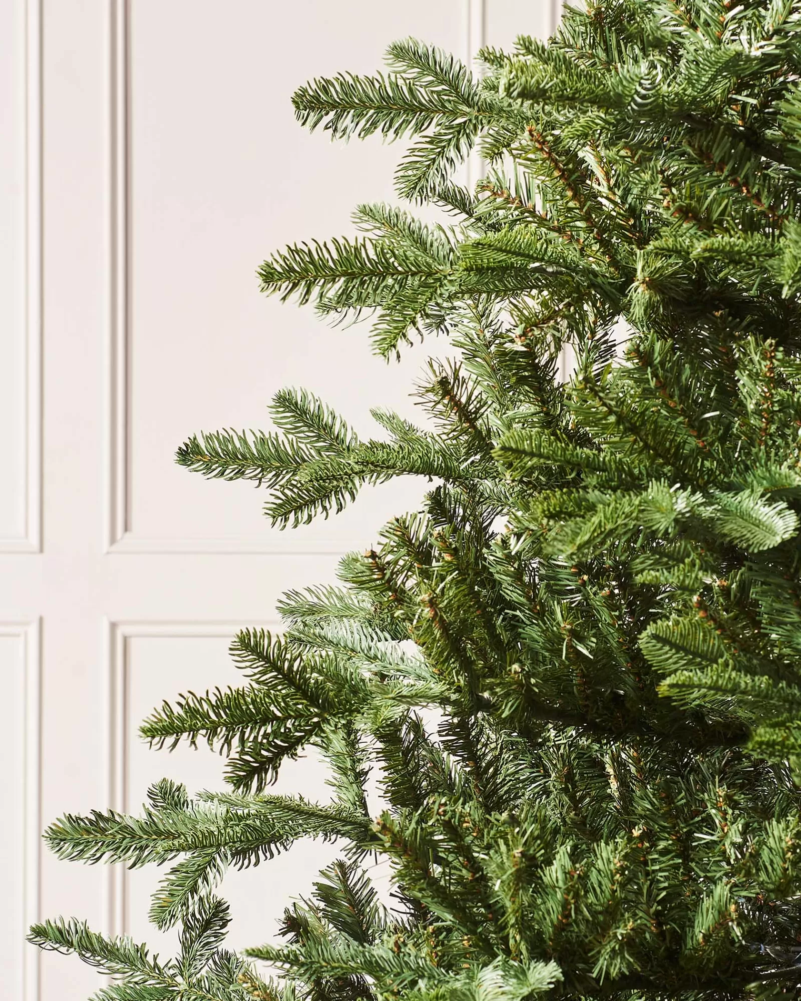 WeRChristmas Budget Christmas Trees | Unlit Christmas Trees^Nordmann Fir Christmas Tree, 6 Ft