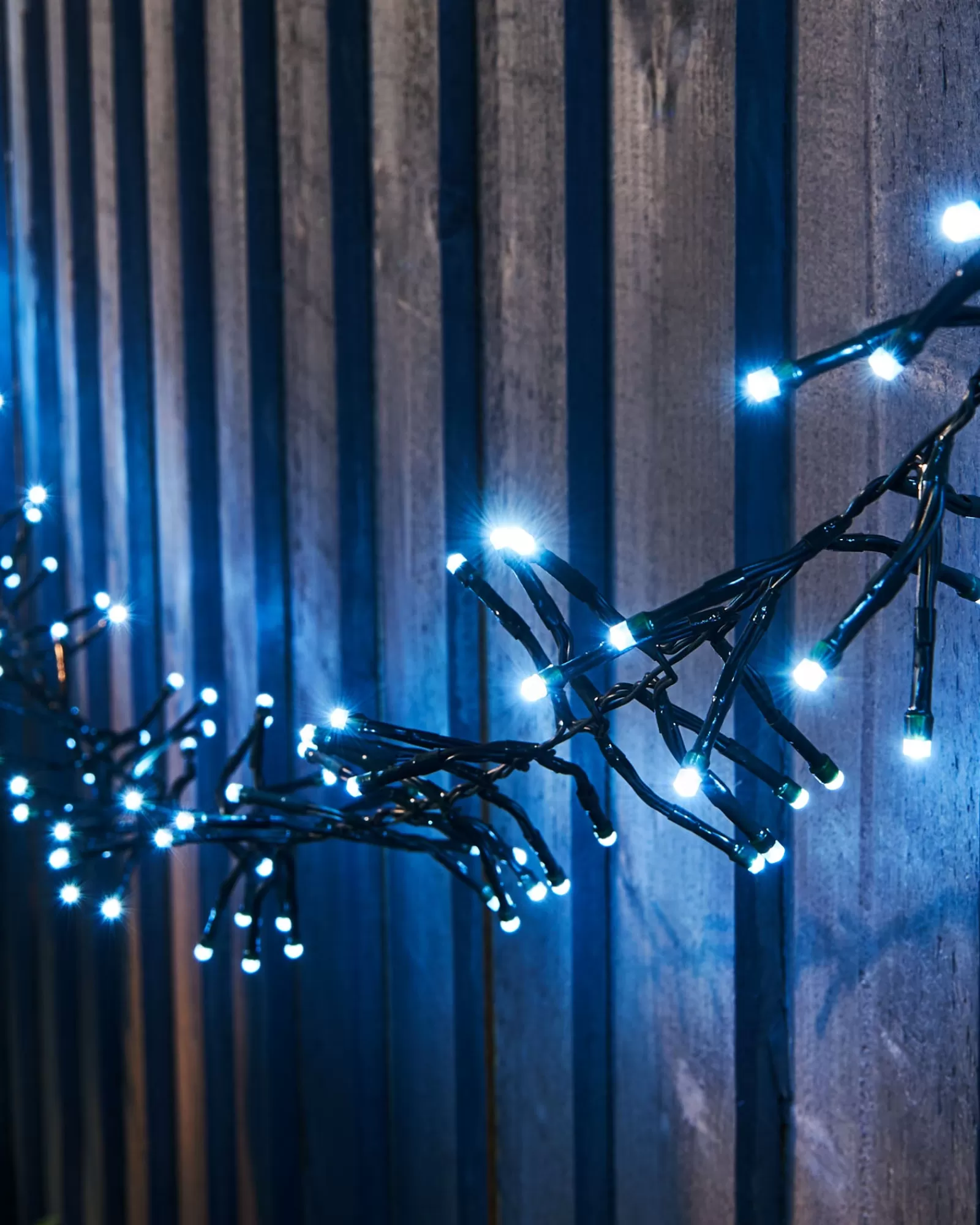 WeRChristmas Cluster Lights | Tree Lights^Outdoor Cluster Multi-Function 500 LED Light String, Ice White