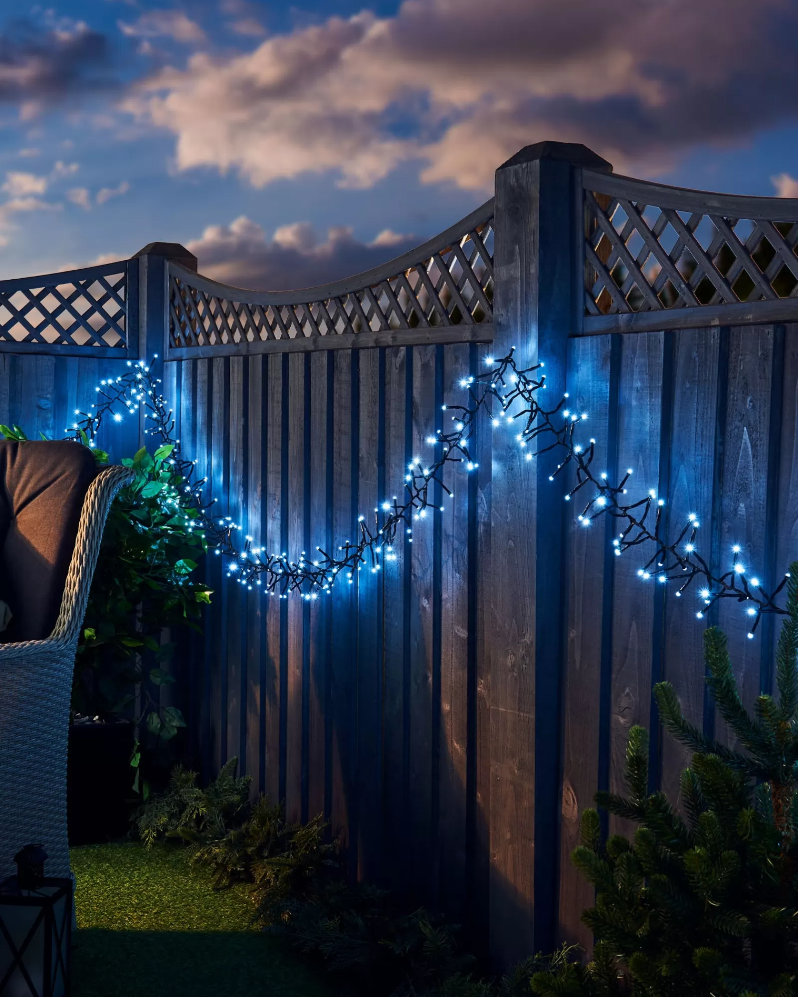 WeRChristmas Cluster Lights | Tree Lights^Outdoor Cluster Multi-Function 500 LED Light String, Ice White