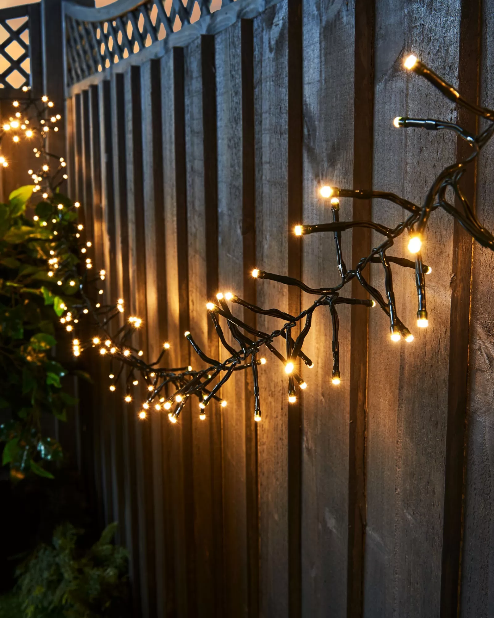 WeRChristmas Cluster Lights | Tree Lights^Outdoor Cluster Multi-Function 500 LED Light String, Warm White