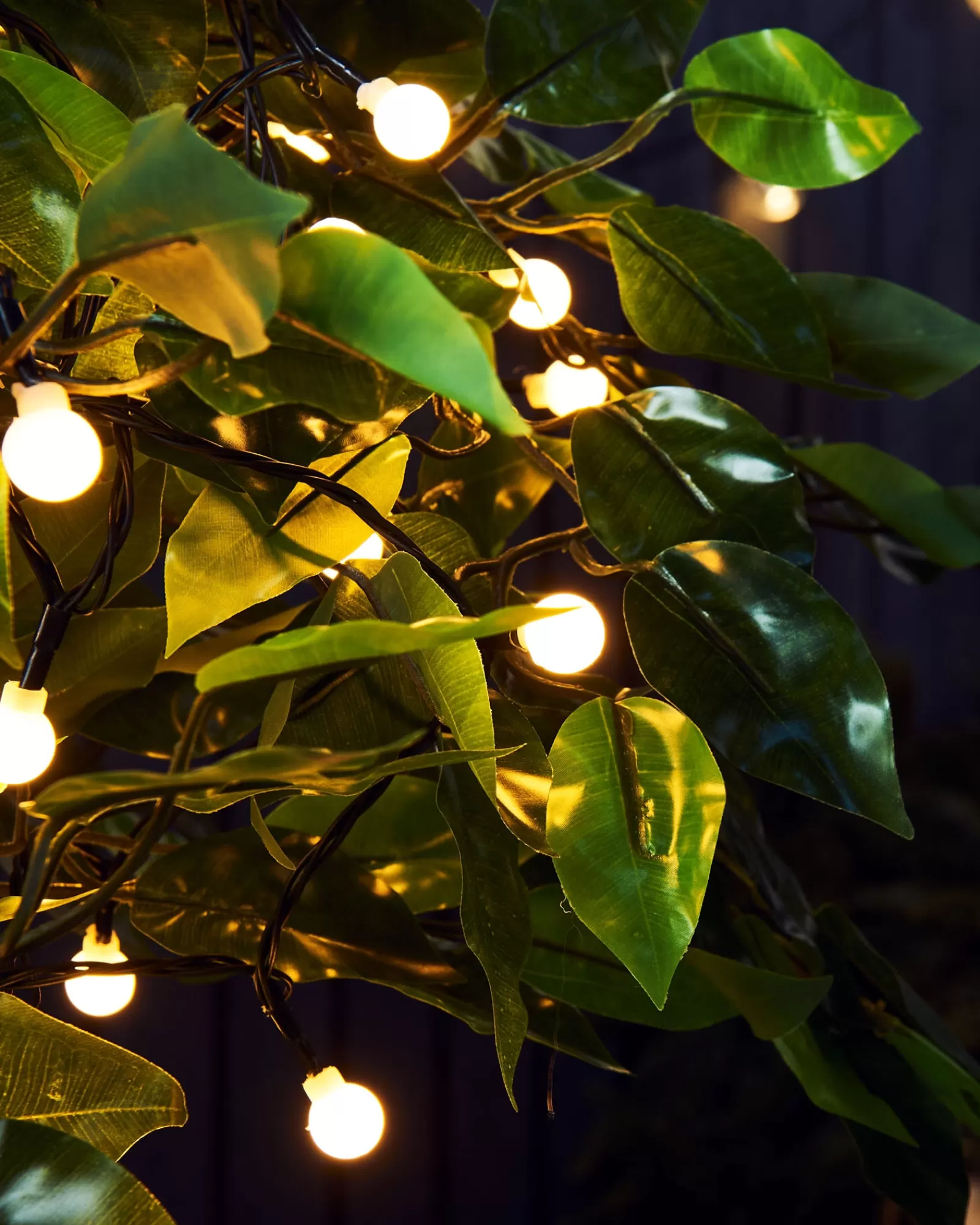 WeRChristmas Fairy Lights | Tree Lights^Outdoor Multi-Function 100 Berry LED Light String, Warm White