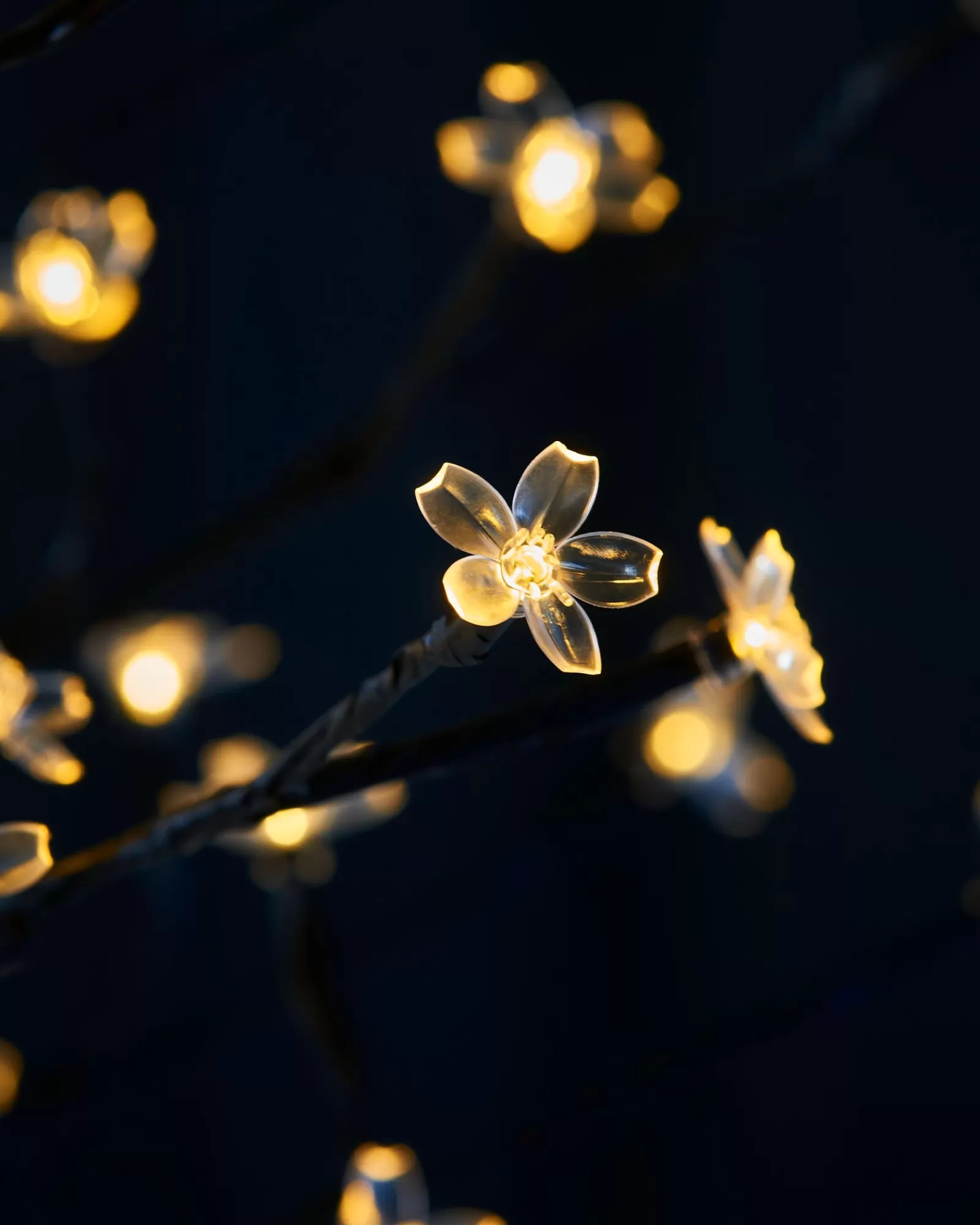WeRChristmas Tree Silhouettes^Pre-Lit 200 LED Cherry Blossom Twig Tree, White, 5 Ft