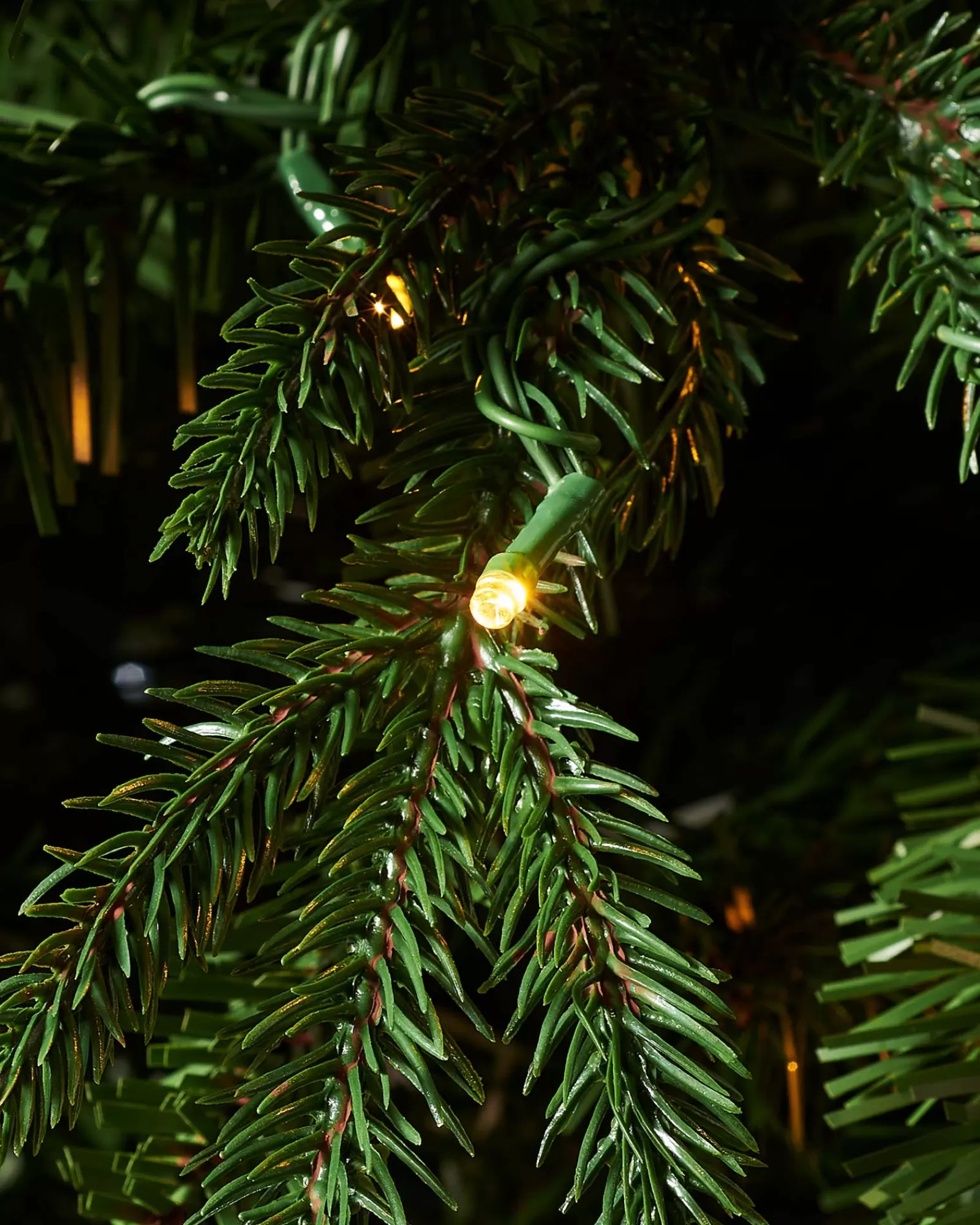 WeRChristmas Premium Christmas Trees | Pre Lit Christmas Trees^Pre-lit Grand Alaskan Fir Christmas Tree, Dual Multi Colour, 9 Ft