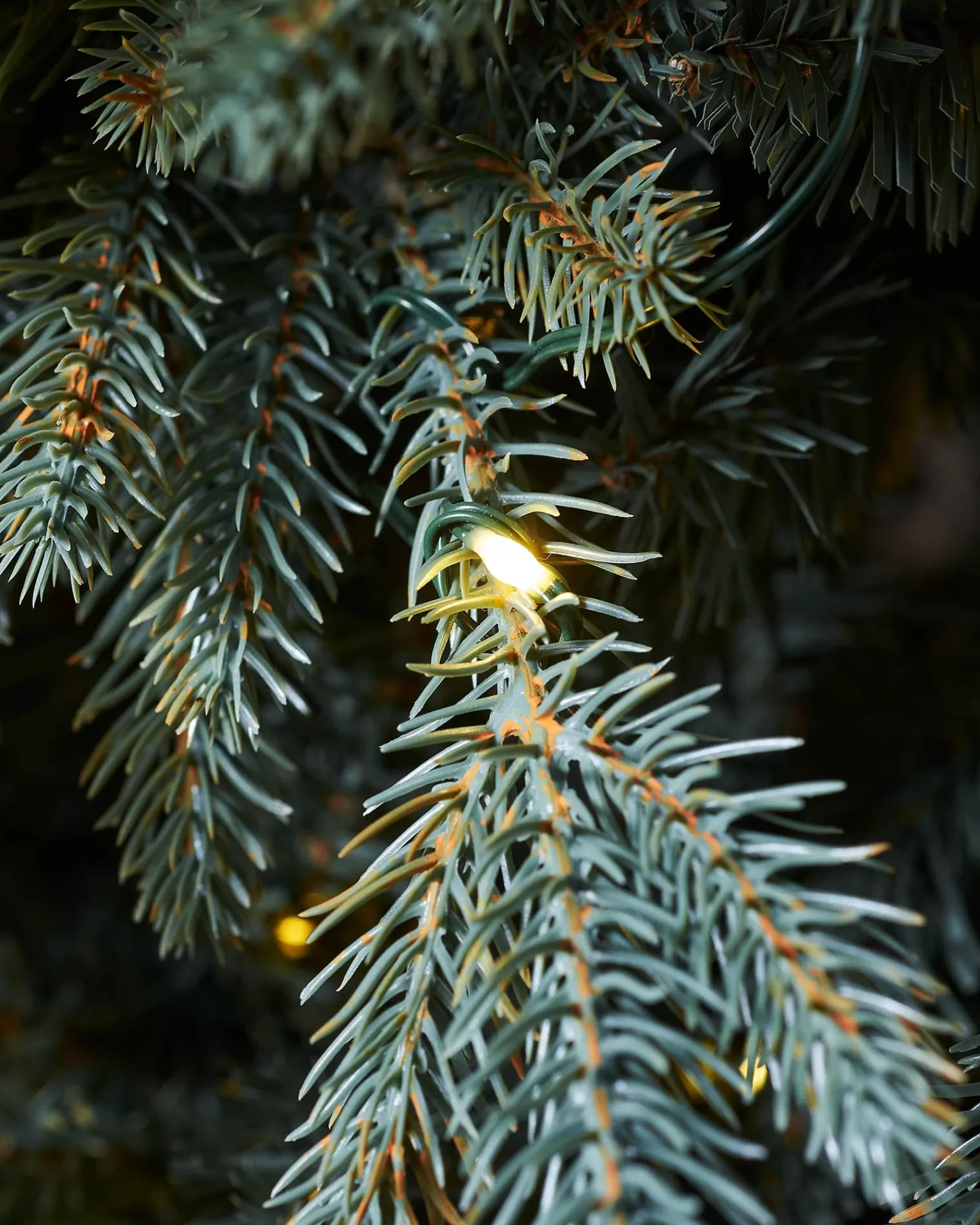 WeRChristmas Pre Lit Christmas Trees^Pre-Lit Mixed Pine Blue Christmas Tree, Dual LED Warm White, 7 Ft
