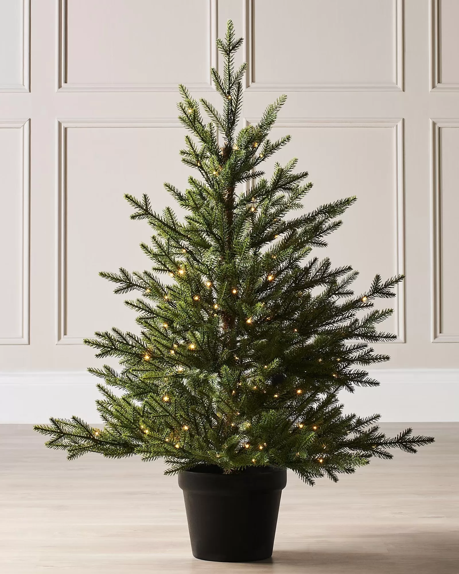 WeRChristmas Budget Christmas Trees | Potted Christmas Trees^Pre-Lit Potted Douglas Fir Christmas Tree, 3 Ft