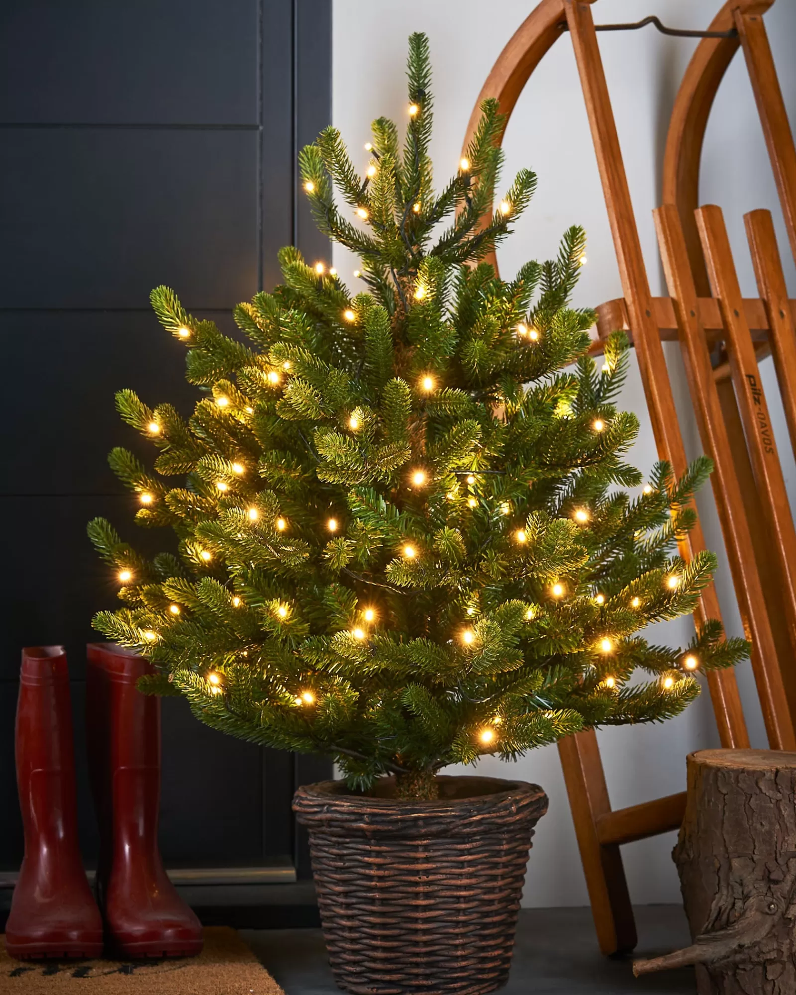 WeRChristmas Budget Christmas Trees | Potted Christmas Trees^Pre-Lit Potted Dwarf Fir Christmas Tree, 3 Ft