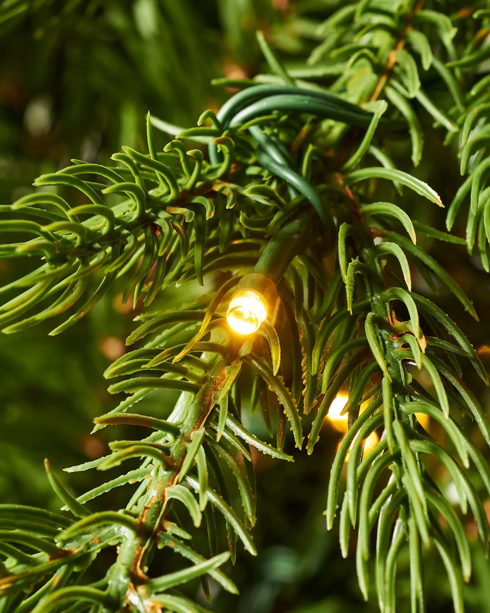 WeRChristmas Premium Christmas Trees | Pre Lit Christmas Trees^Pre-Lit Windsor Fir Christmas Tree, Dual Warm White, 7 Ft