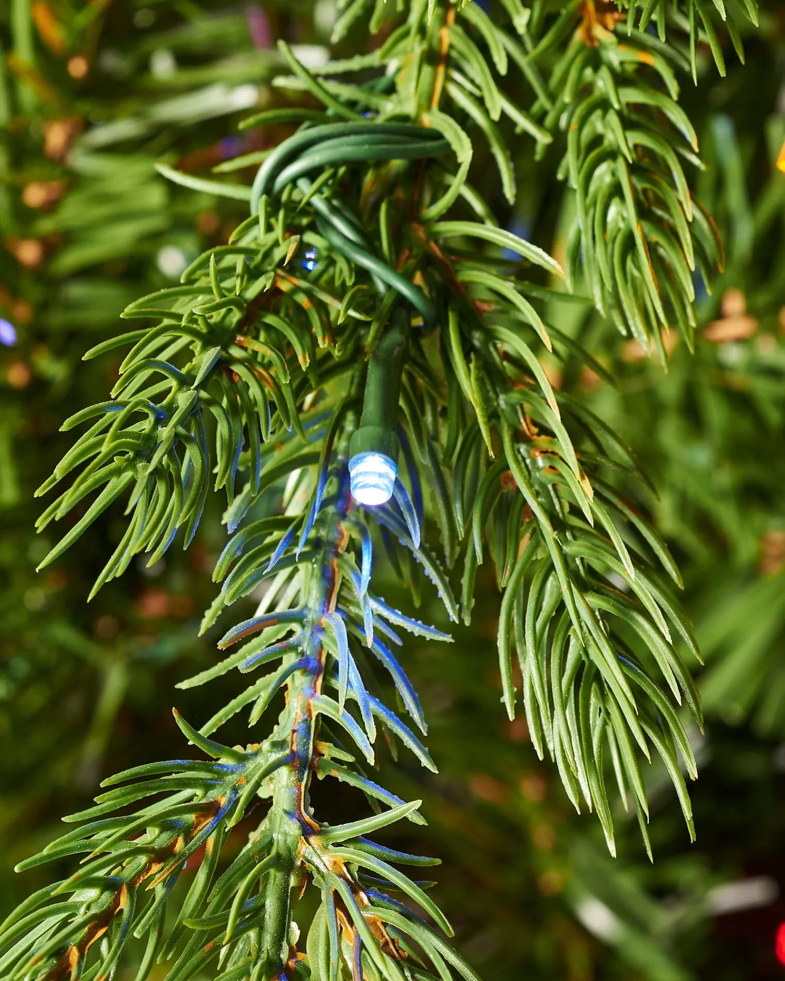 WeRChristmas Premium Christmas Trees | Pre Lit Christmas Trees^Pre-Lit Windsor Fir Christmas Tree, Dual Warm White, 7 Ft